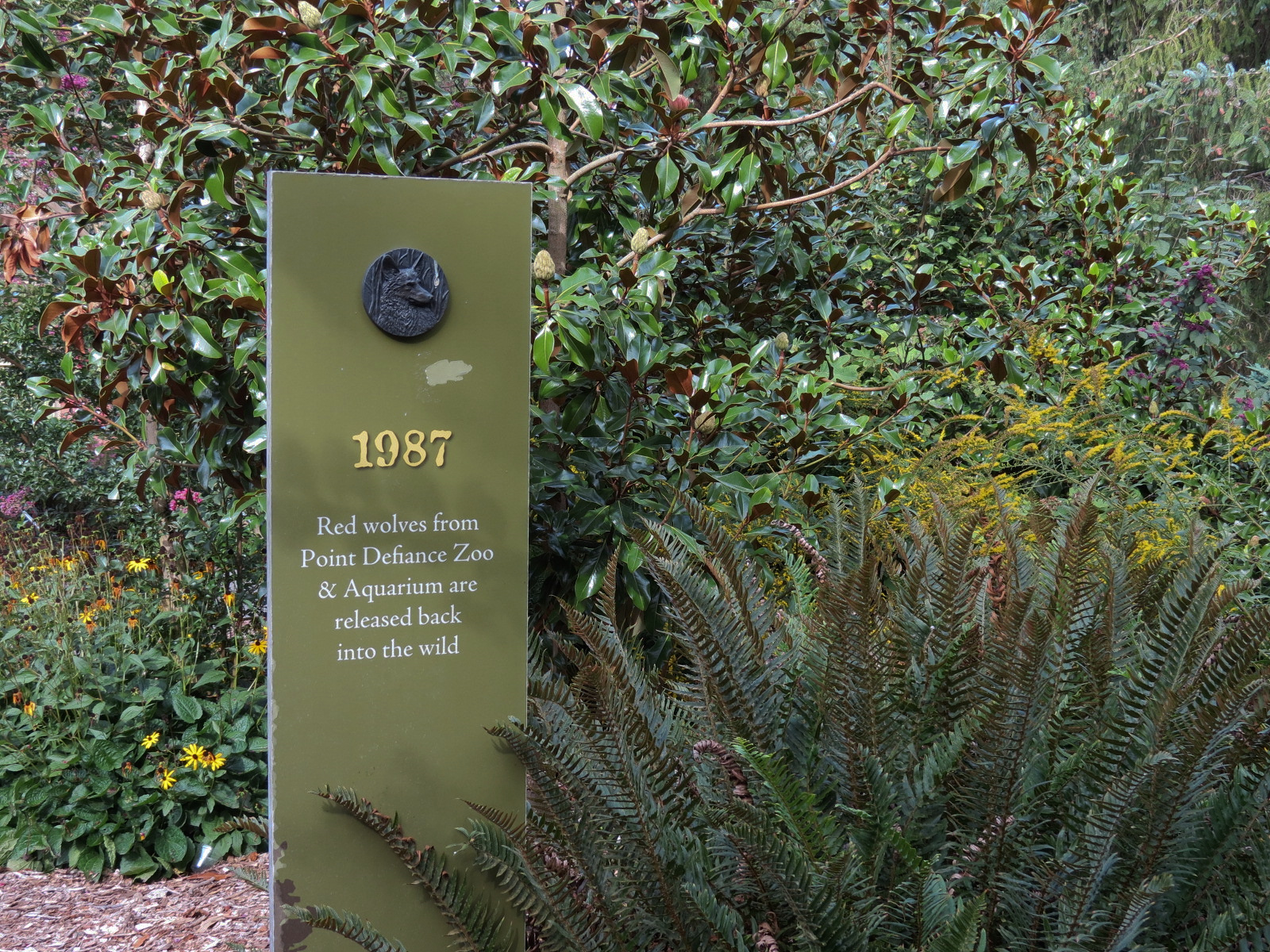 Red Wolf Woods - Path Graphics