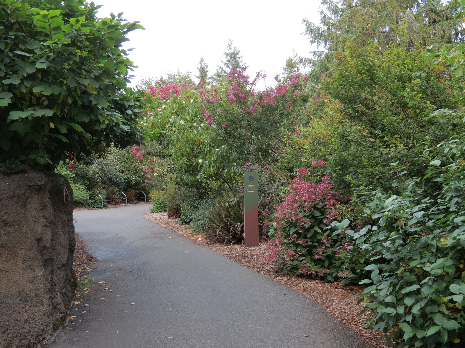 Red Wolf Woods - Visitor Path
