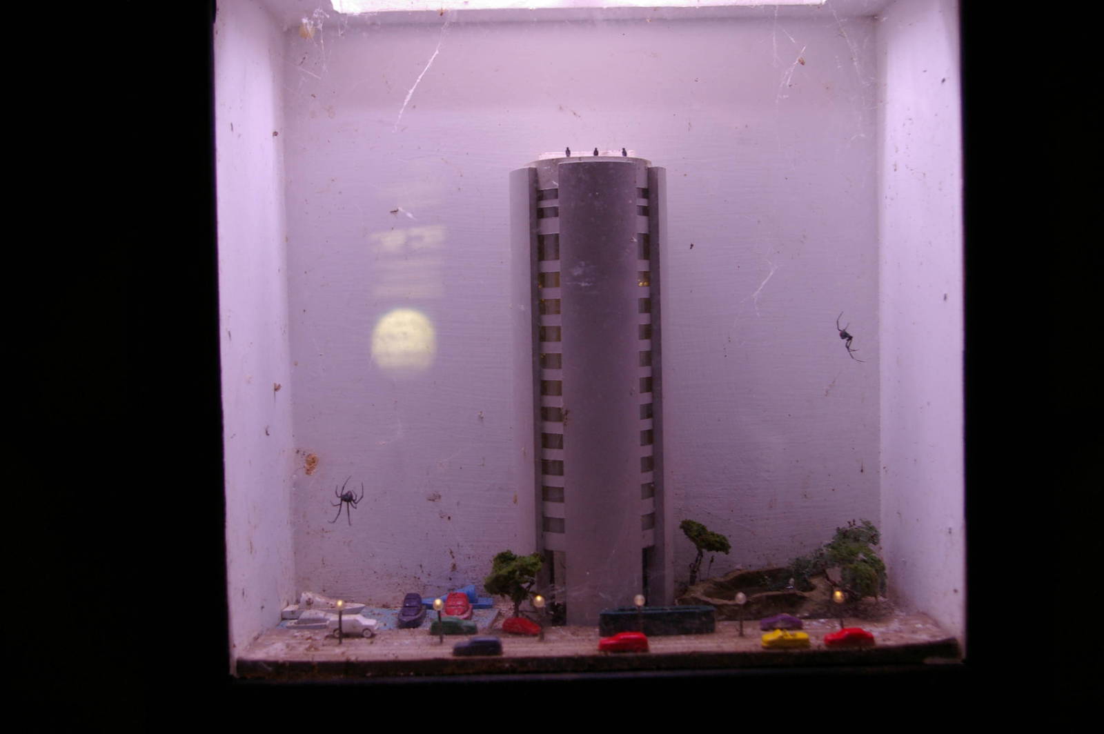 redback tank, Melbourne Aquarium