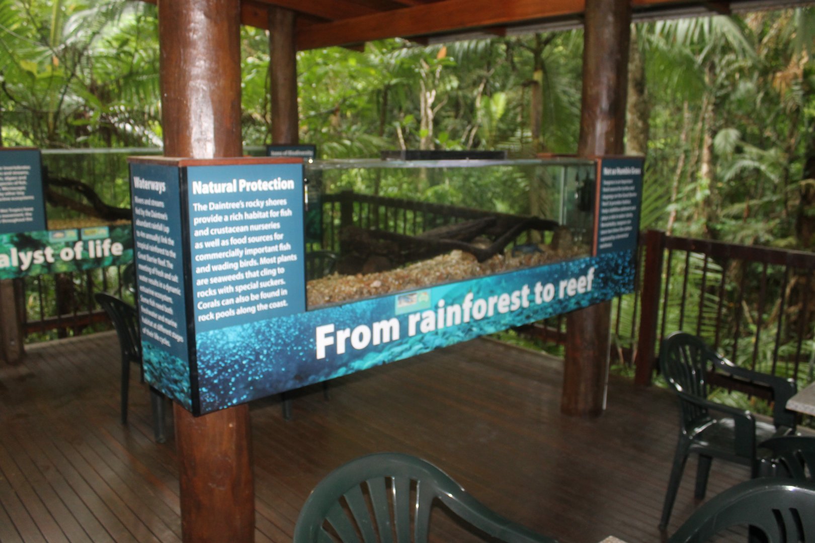 Redclaw Crayfish tank