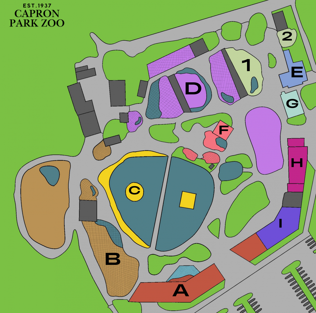 Redesign of Capron Park Zoo