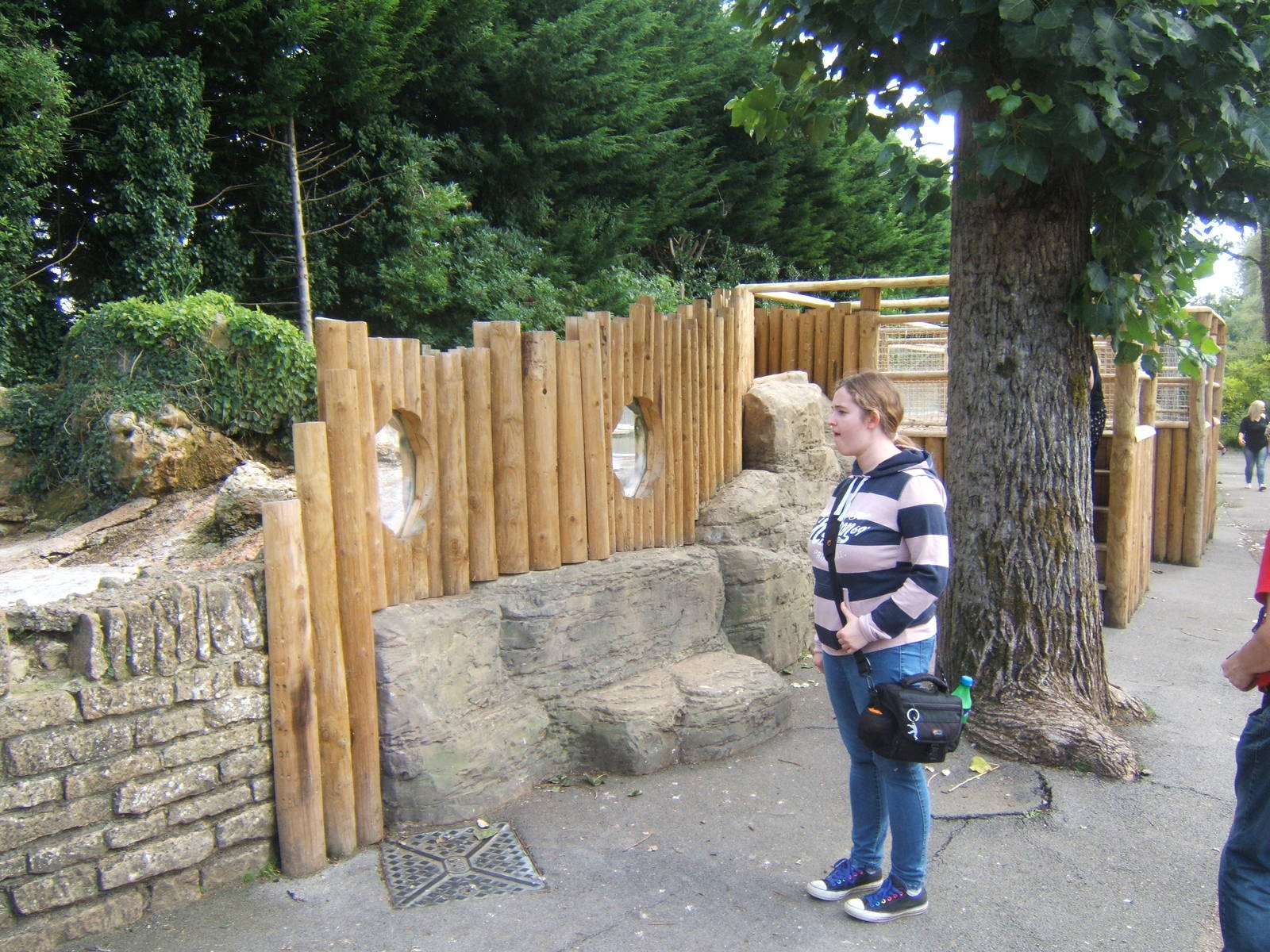 Redesigned Penguin viewing