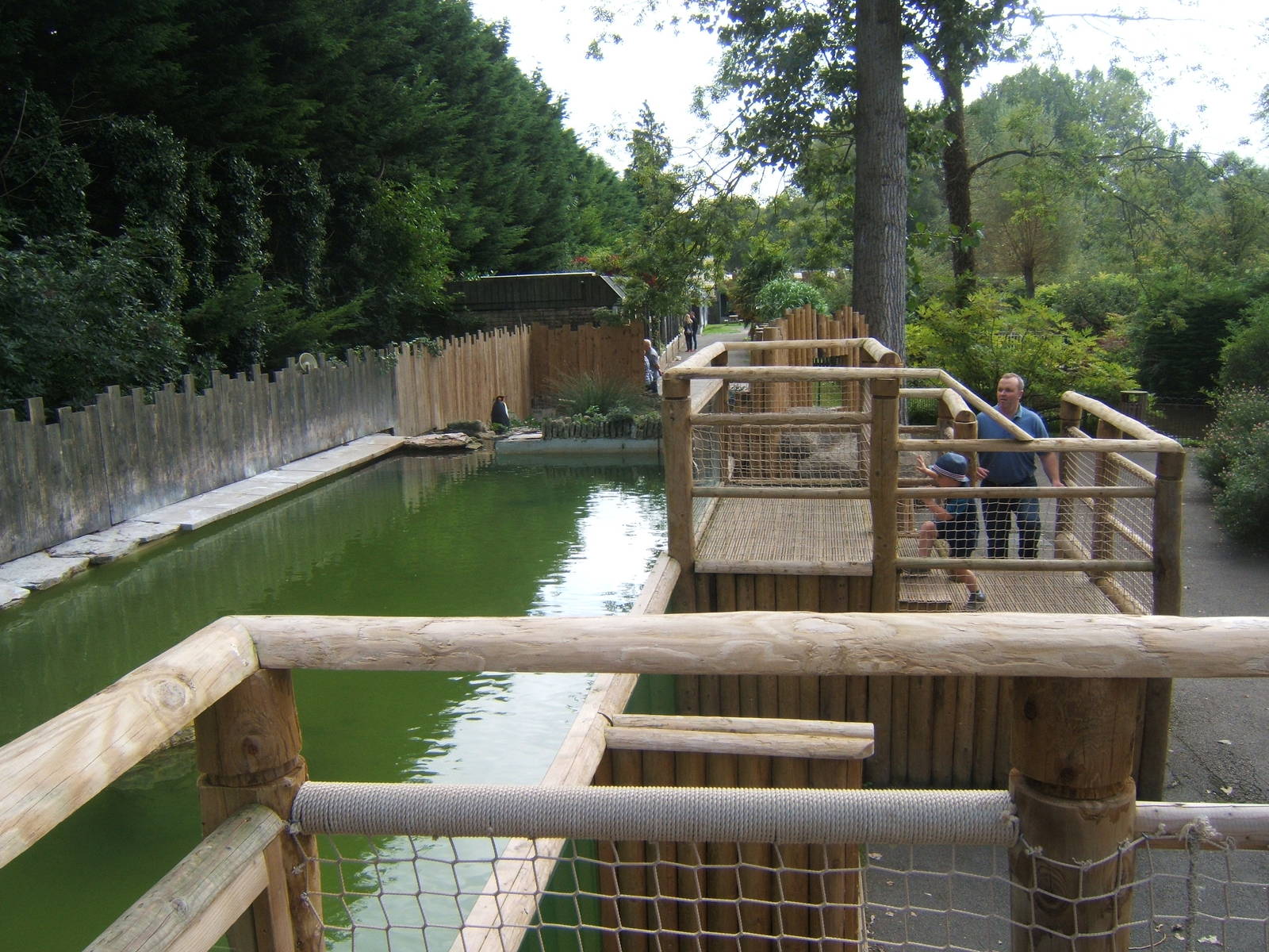 Redesigned Penguin viewing