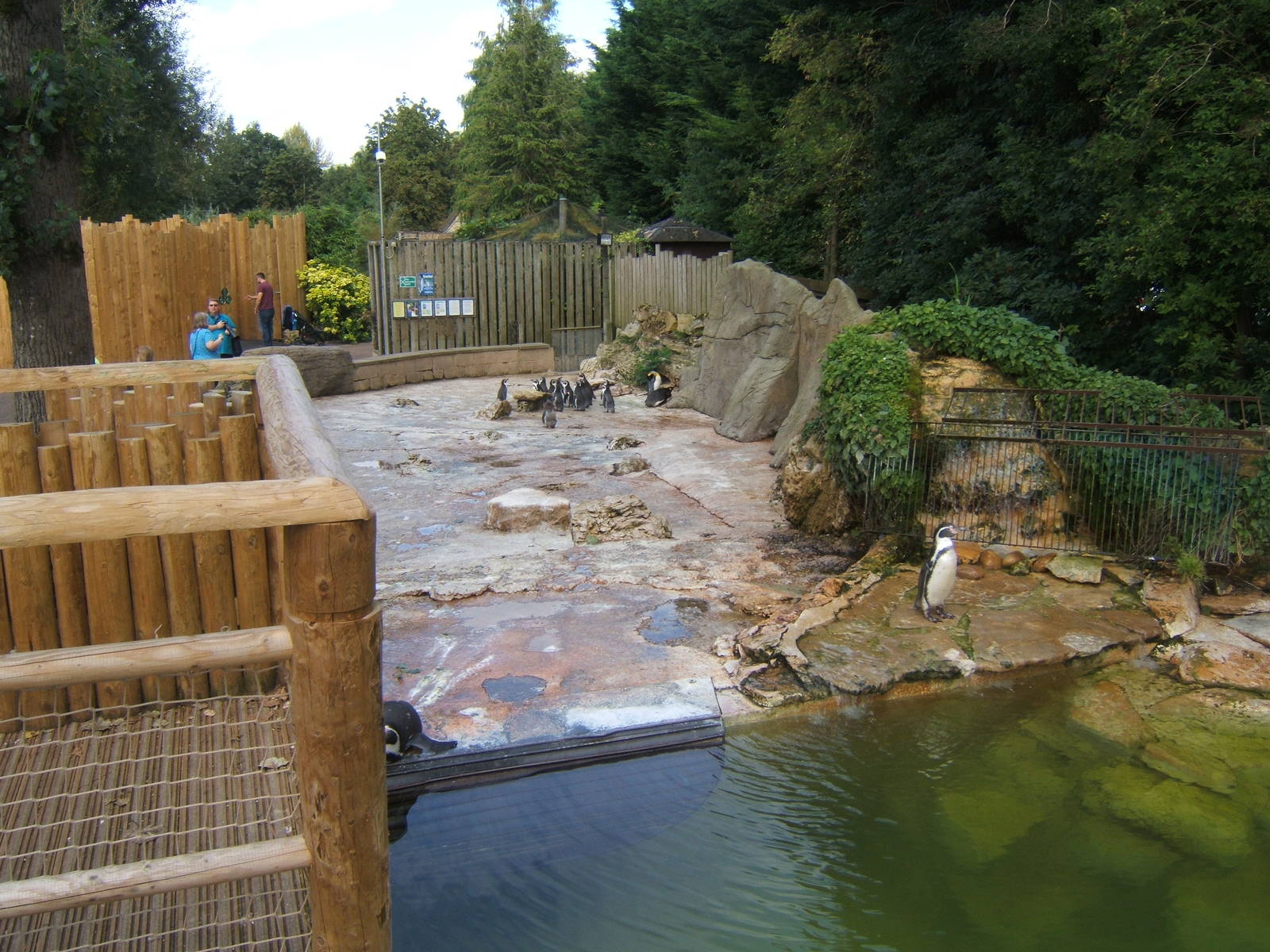 Redesigned Penguin viewing