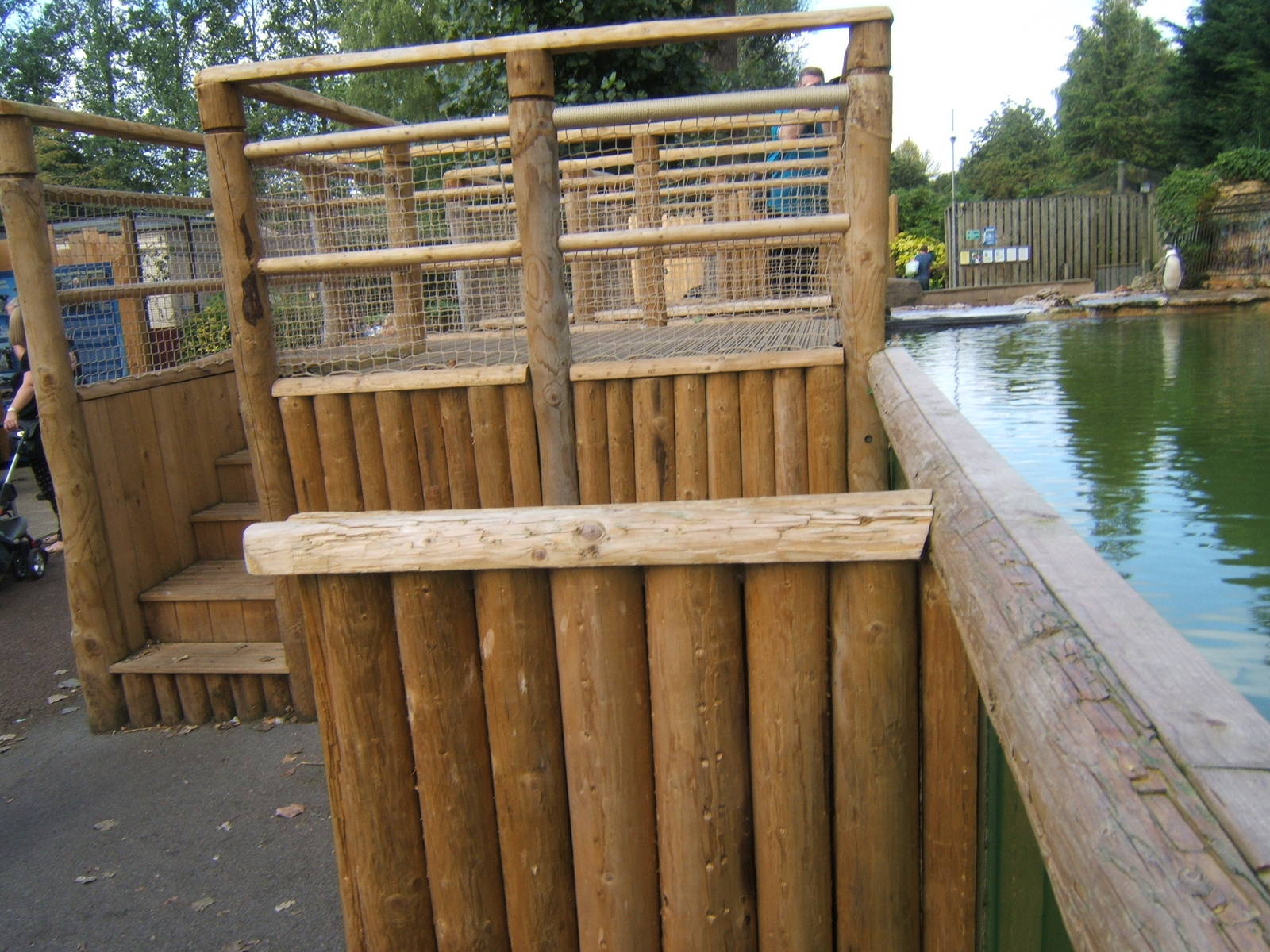 Redesigned Penguin viewing