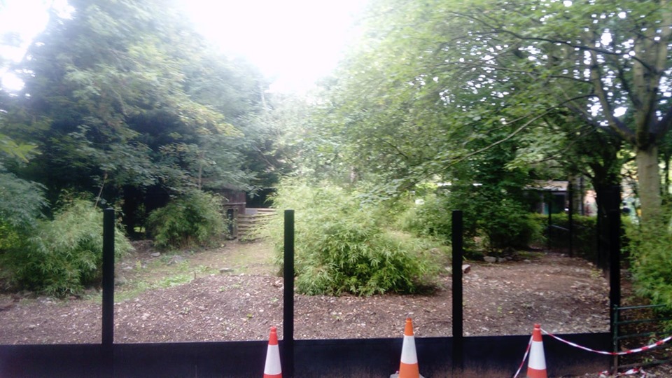 Redevelopment Of White-Naped Crane Enclosure 8th August 2019