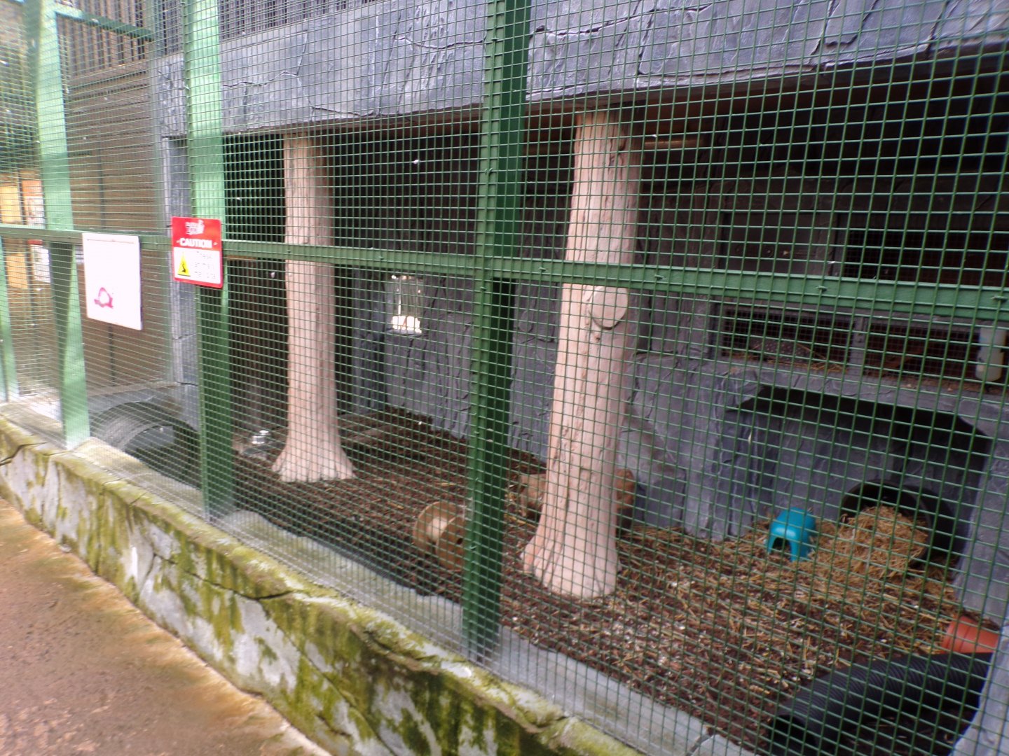 Redone ferret enclosure 12.4.24