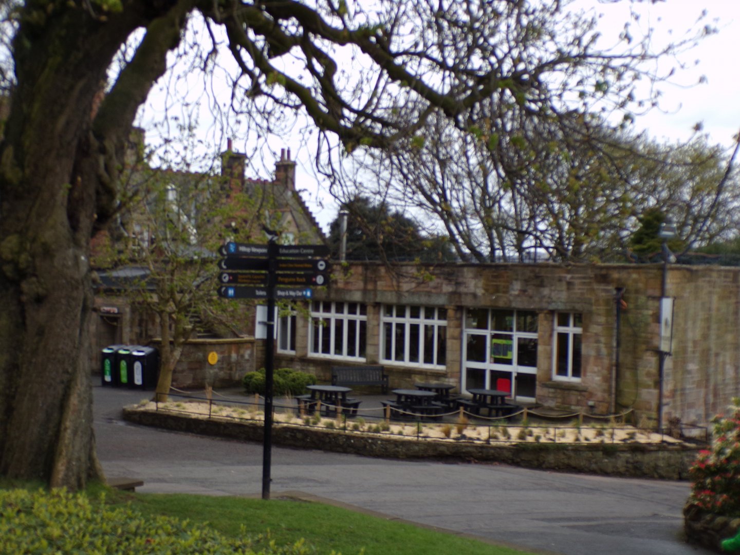 Redone Grasslands restaurant 9.4.24