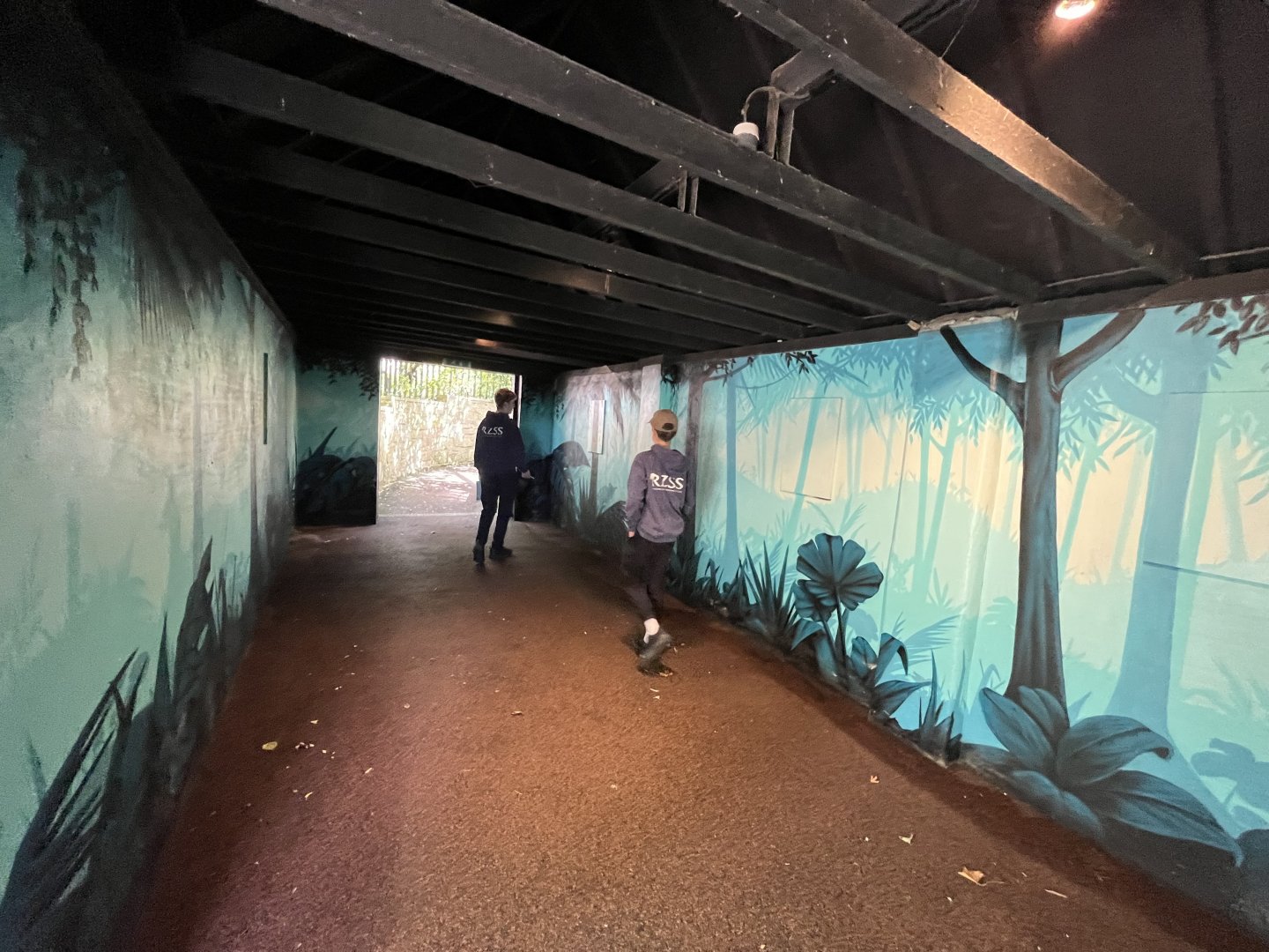 Redone magic forest area 8.6.24