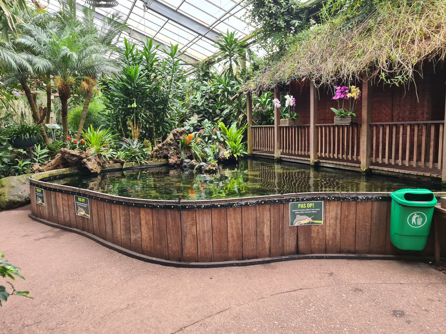 Redtail catfish pond in "Amazon" hall