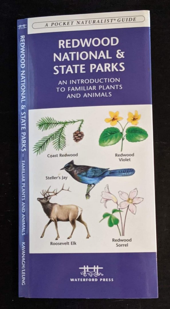 Redwood National & State Parks, California