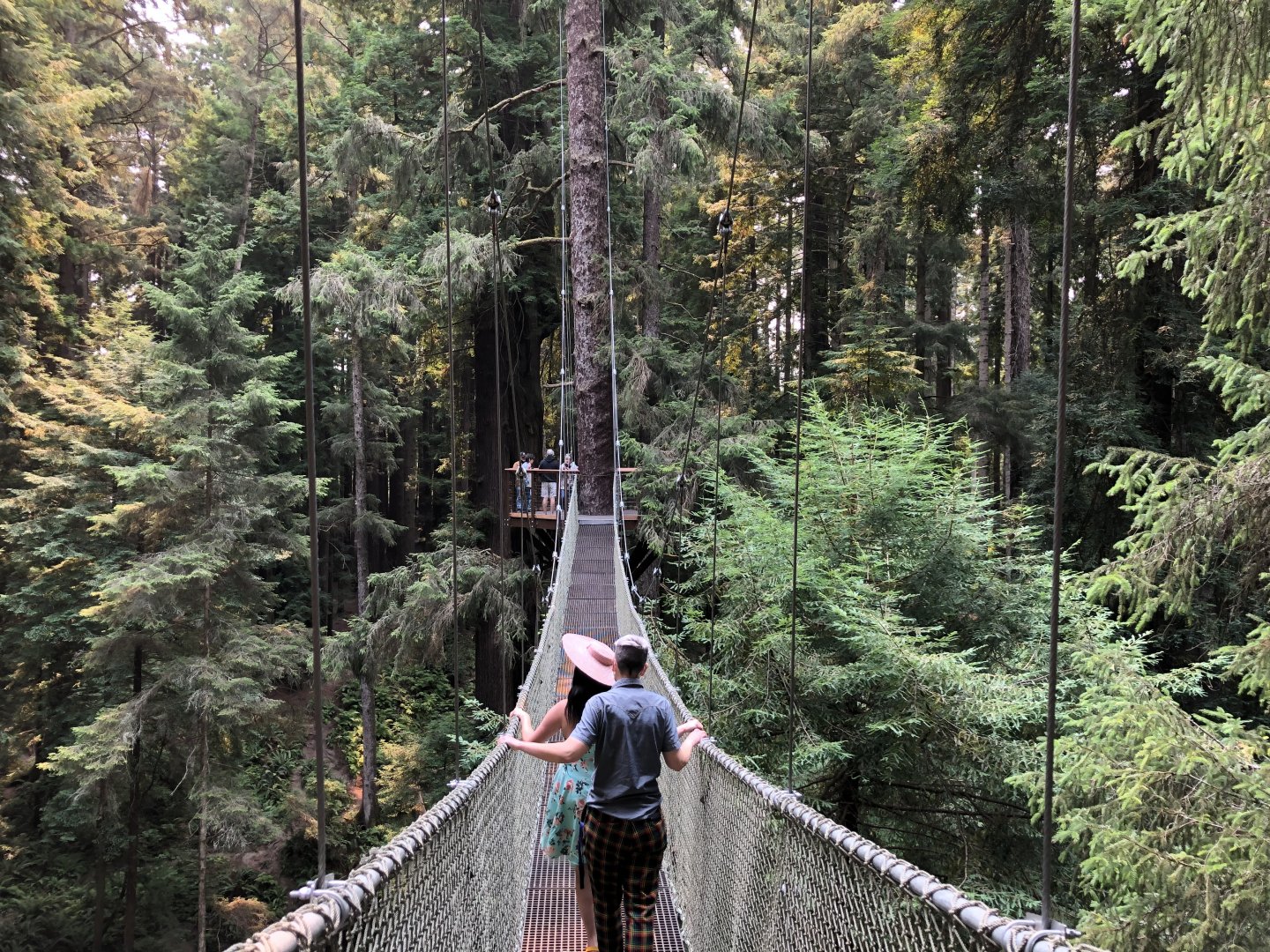 Redwood Sky Walk