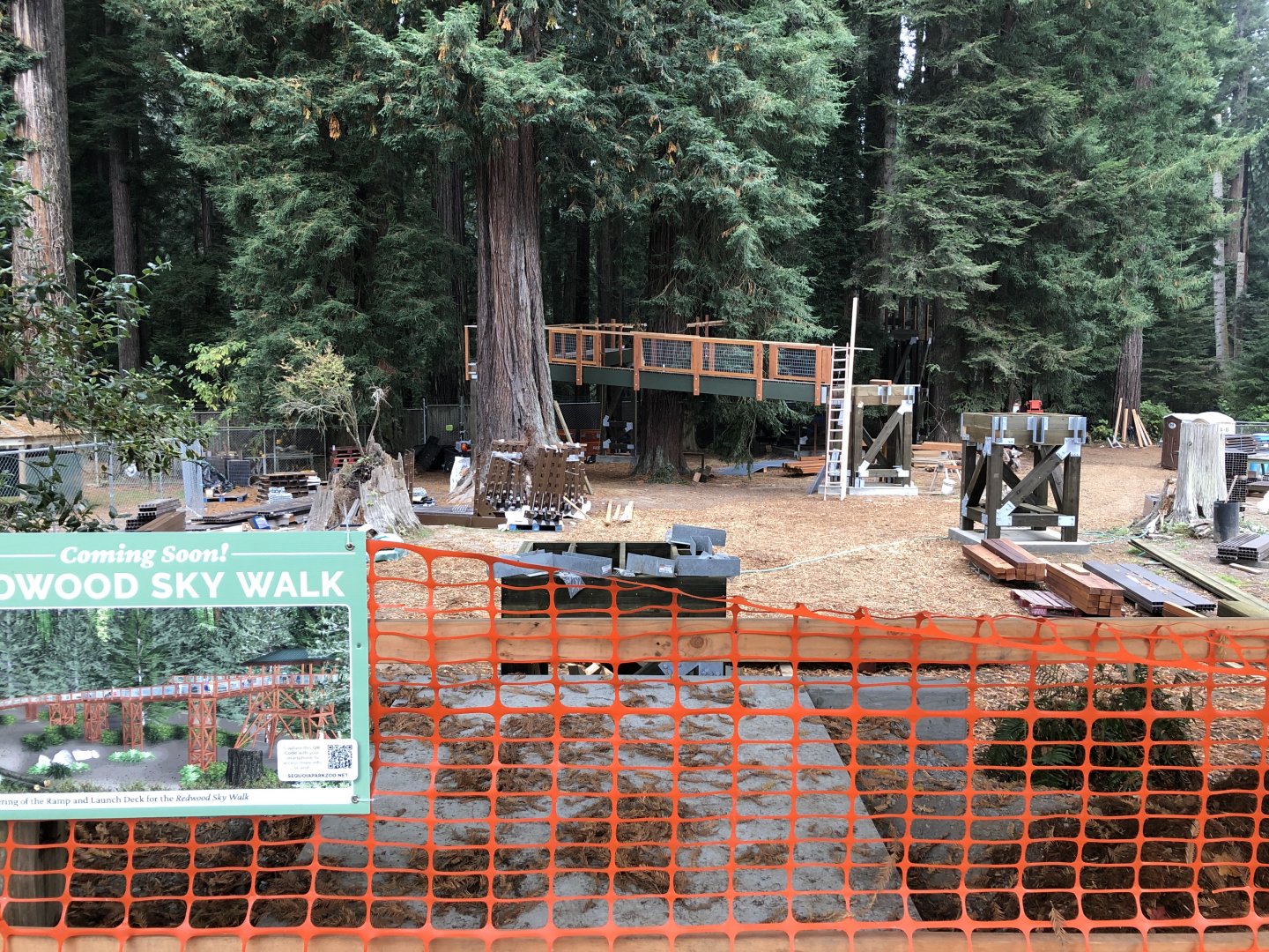 Redwood Skywalk construction