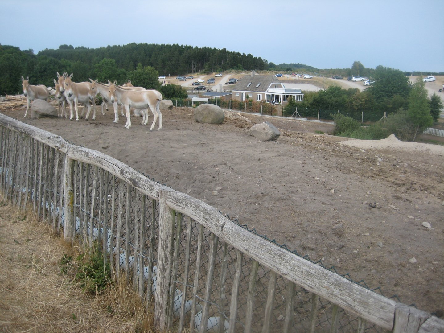 Ree Park - Asian plain