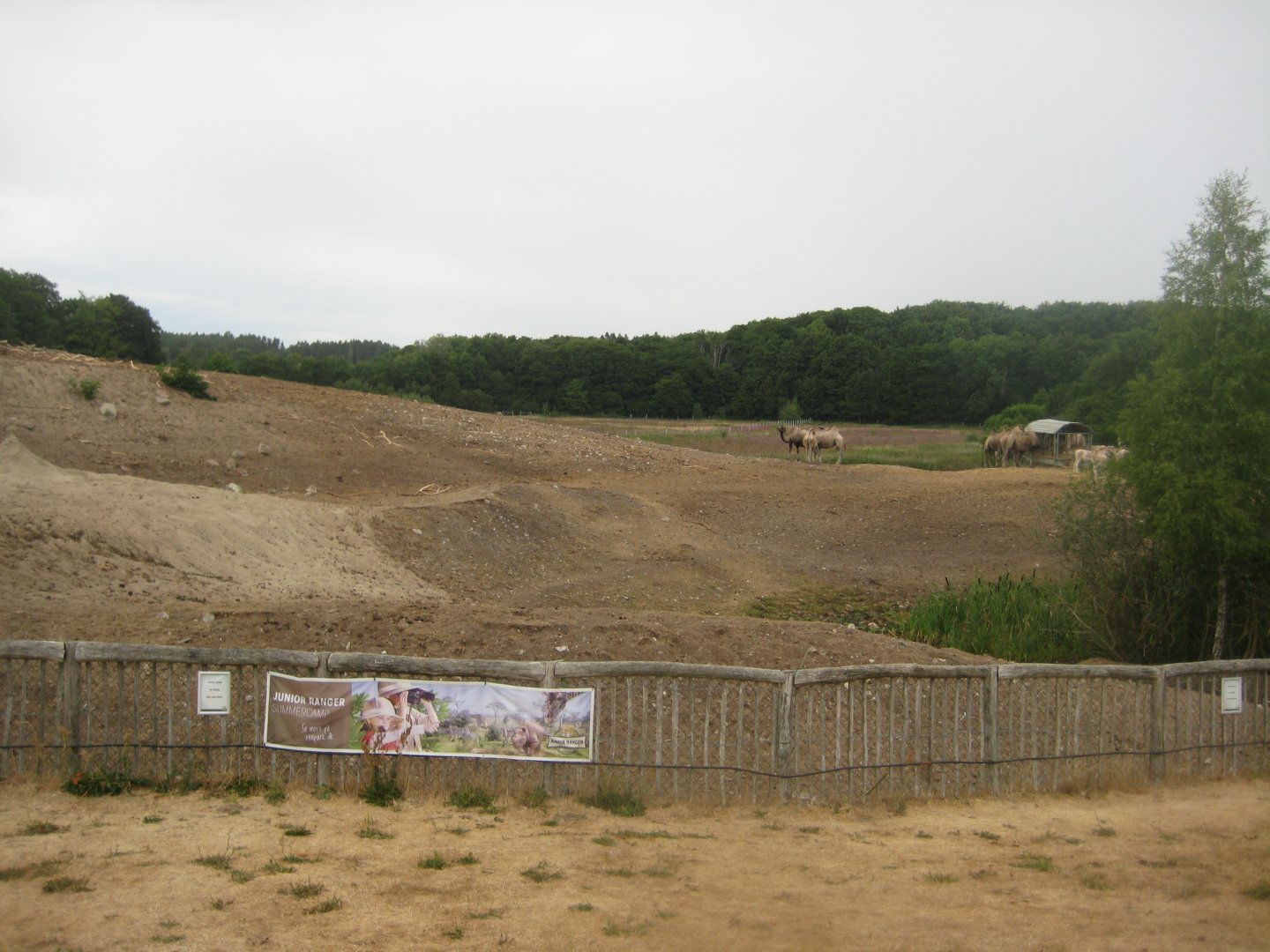 Ree Park - Asian plain