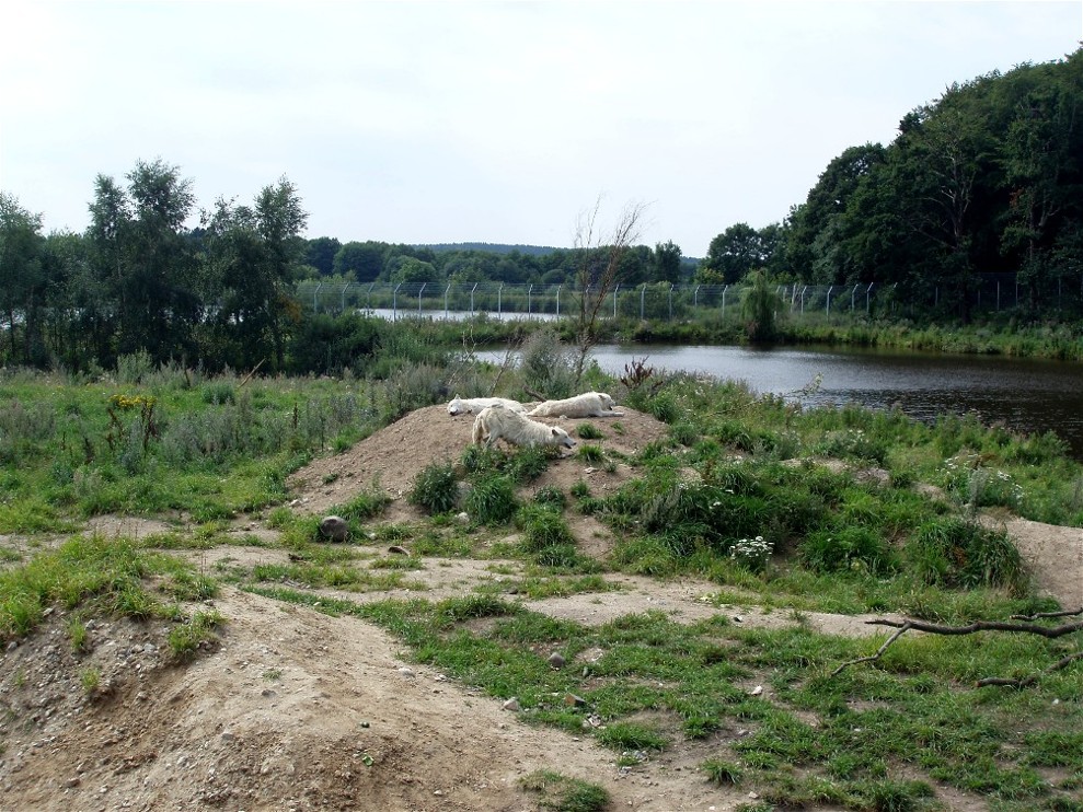 Ree Park - Bear Lake