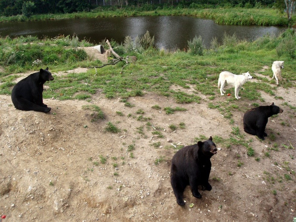 Ree Park - Bear Lake