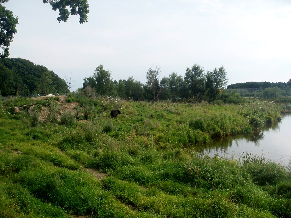 Ree Park - Bear Lake