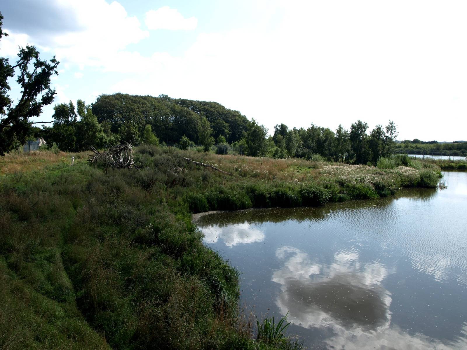 Ree Park - Bear Lake