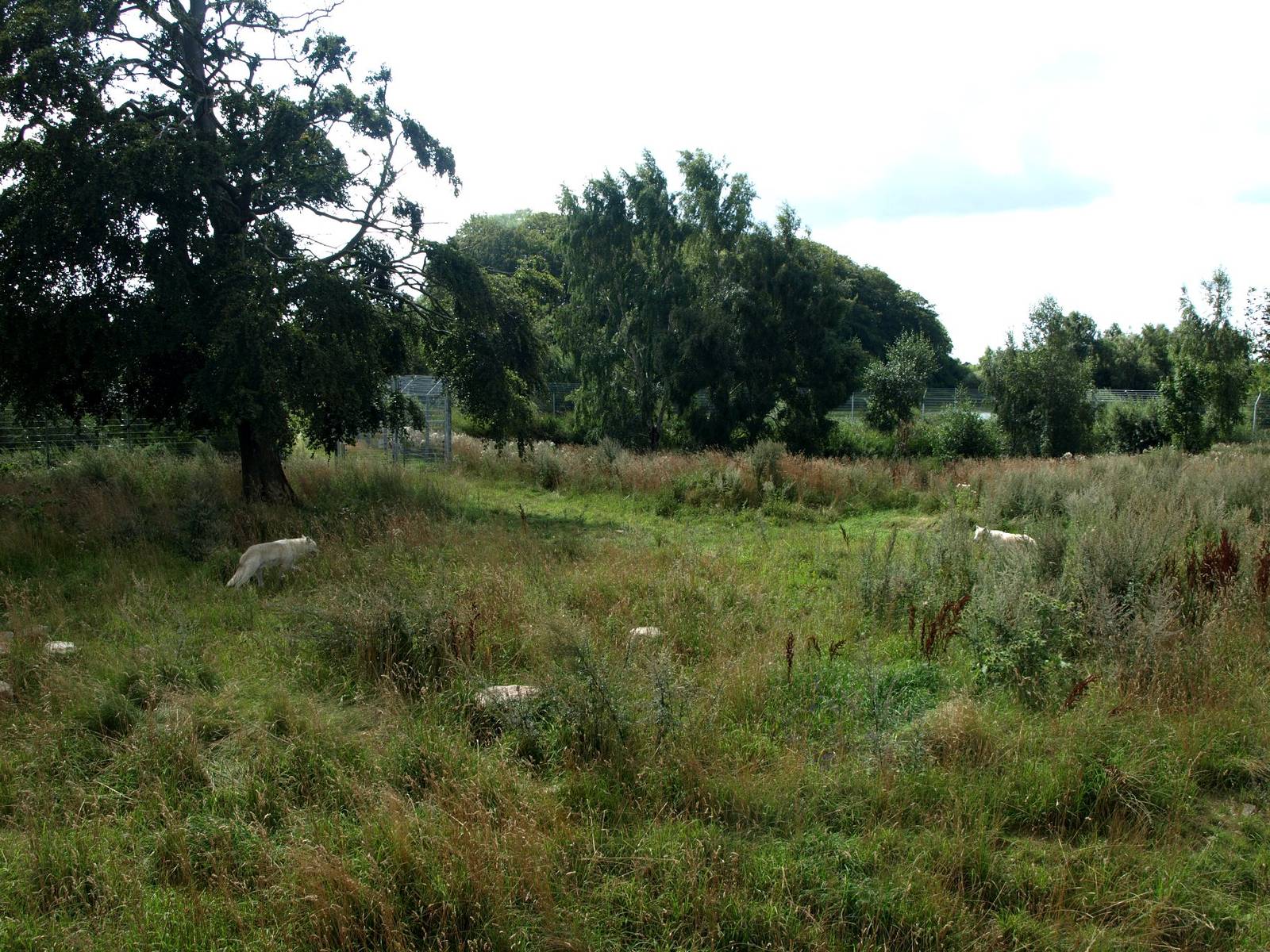 Ree Park - Bear Lake