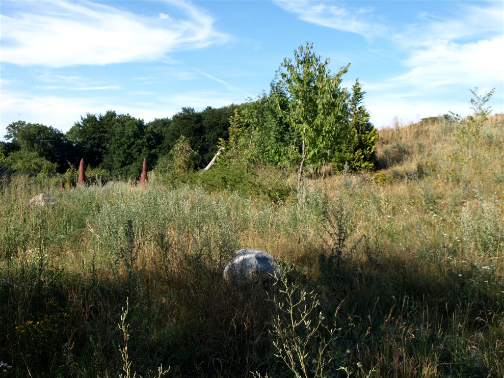 Ree Park - Cheetah enclosure