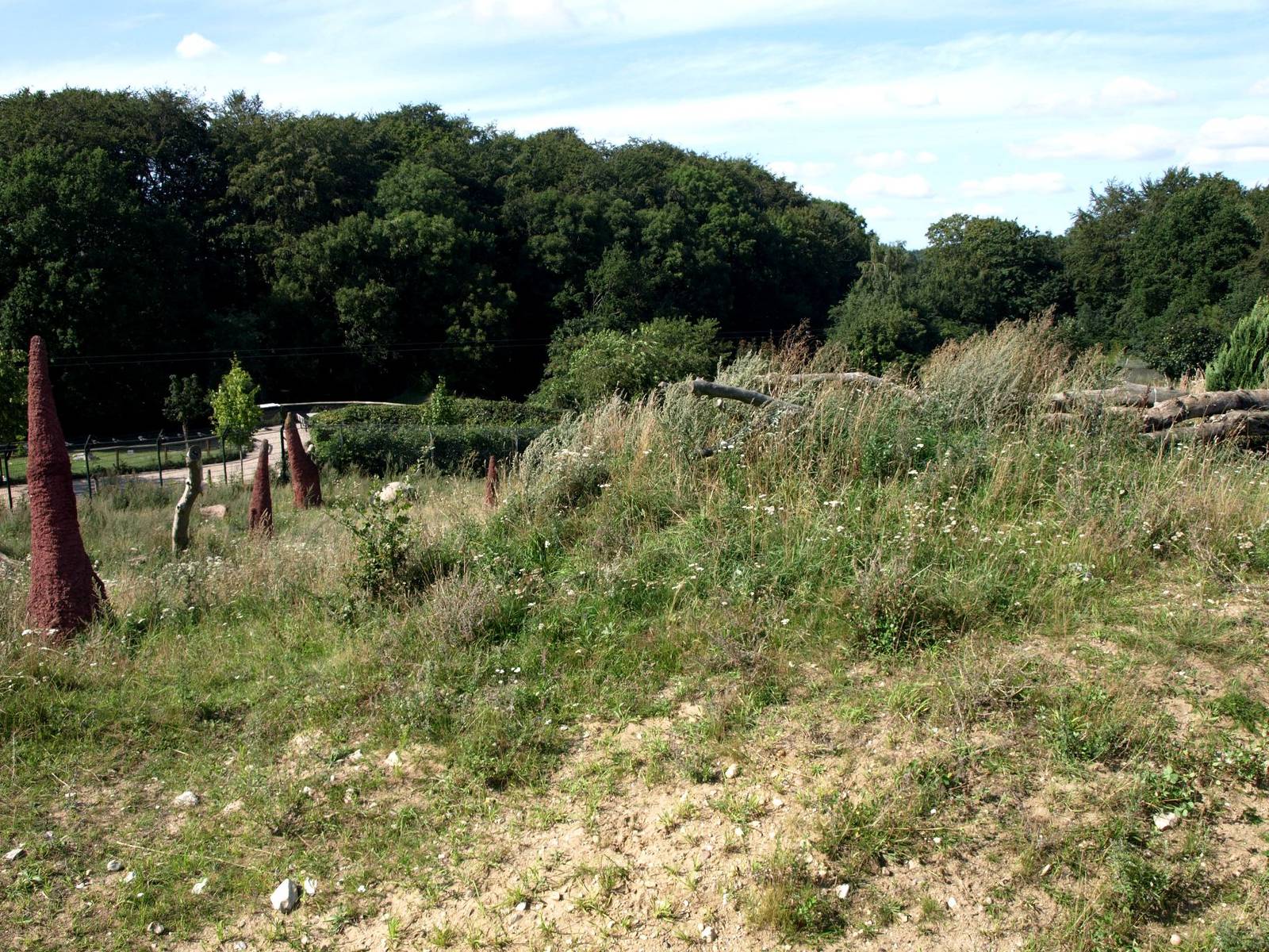Ree Park - Cheetah enclosure