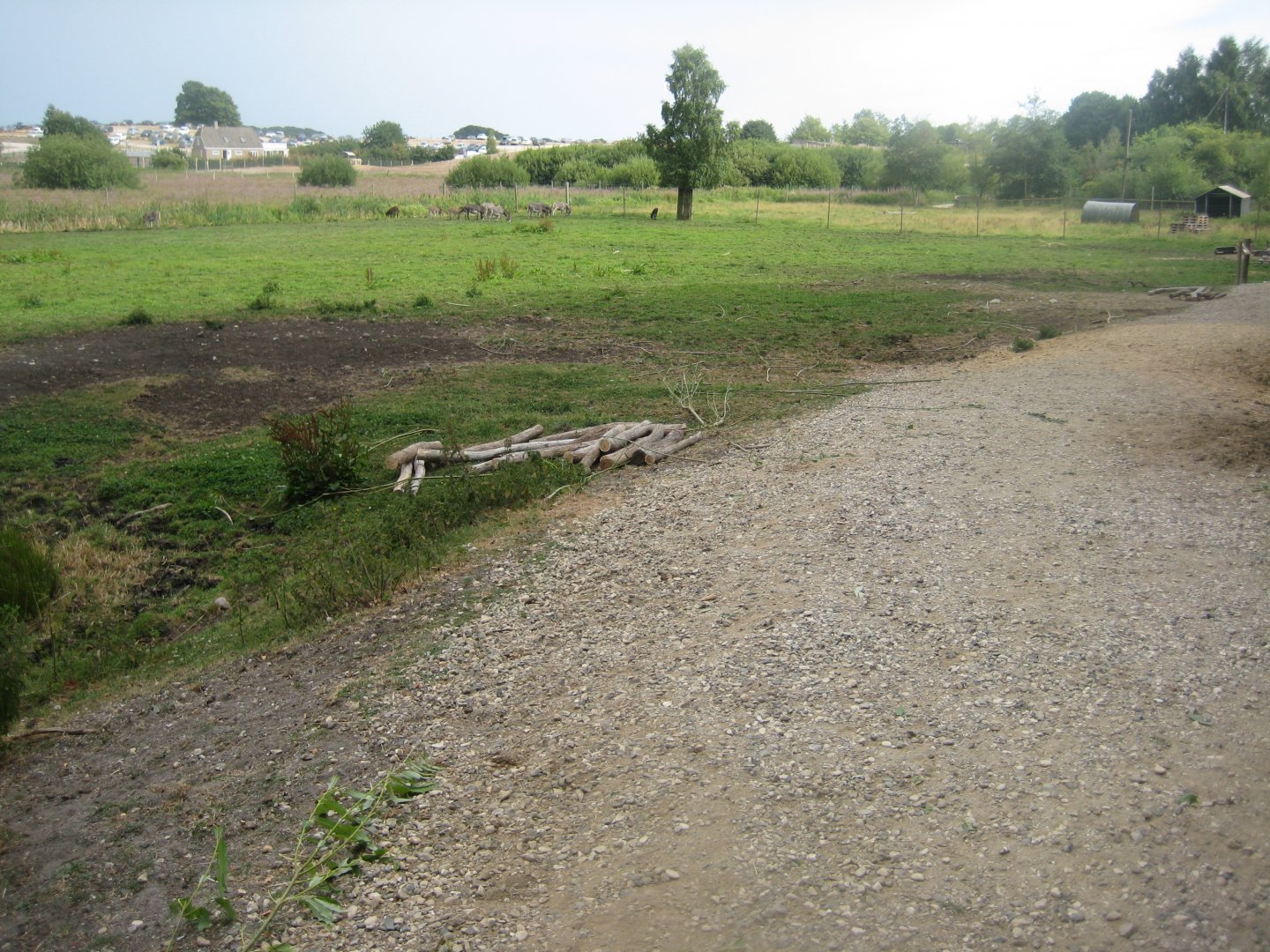 Ree Park - Donkey exhibit