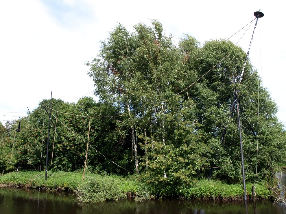 Ree Park - Gibbon island