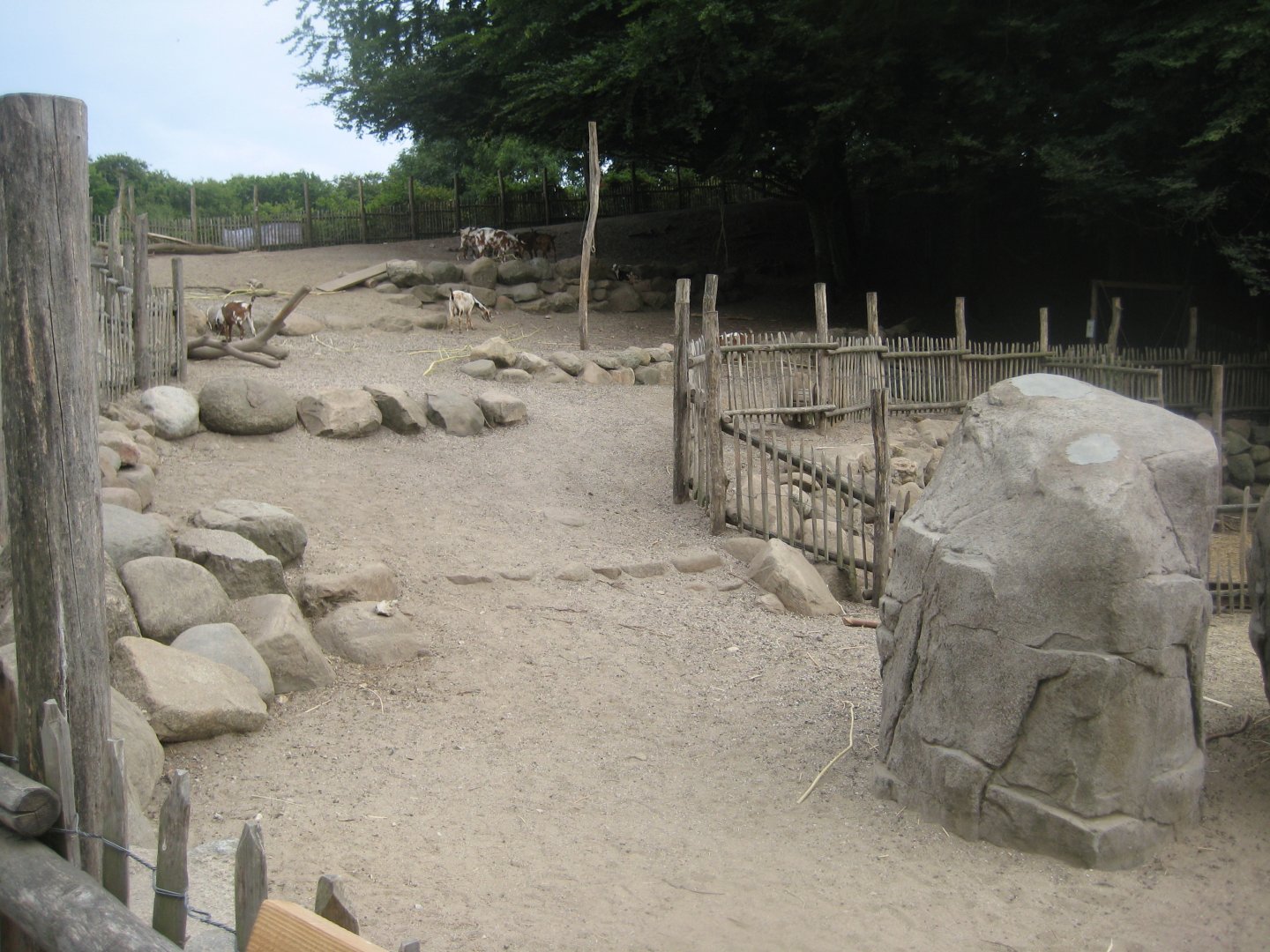 Ree Park - Goat exhibit