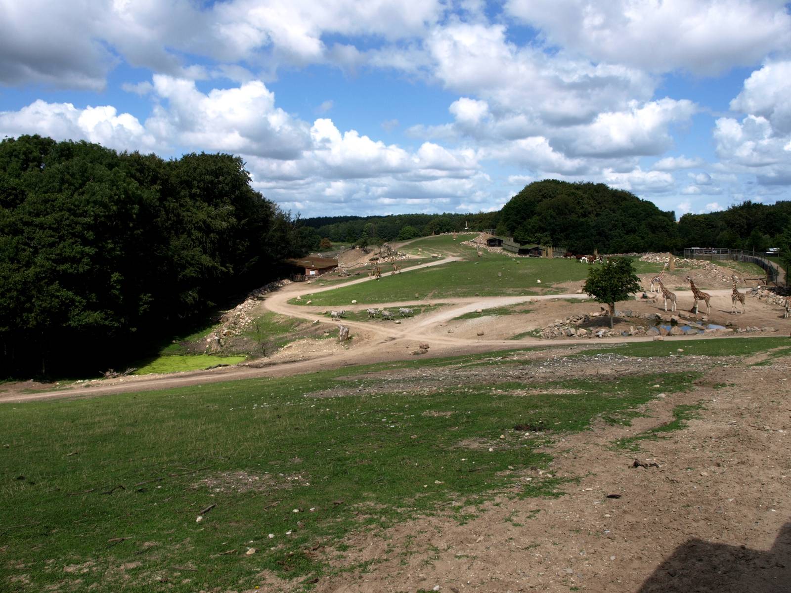 Ree Park - Grassland savannah