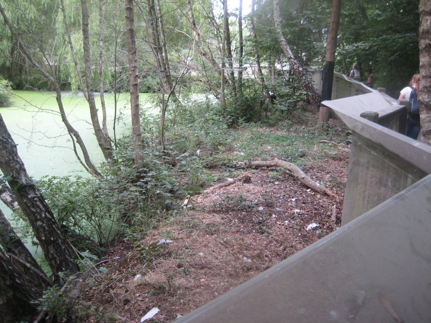 Ree Park - Japanese crane exhibit