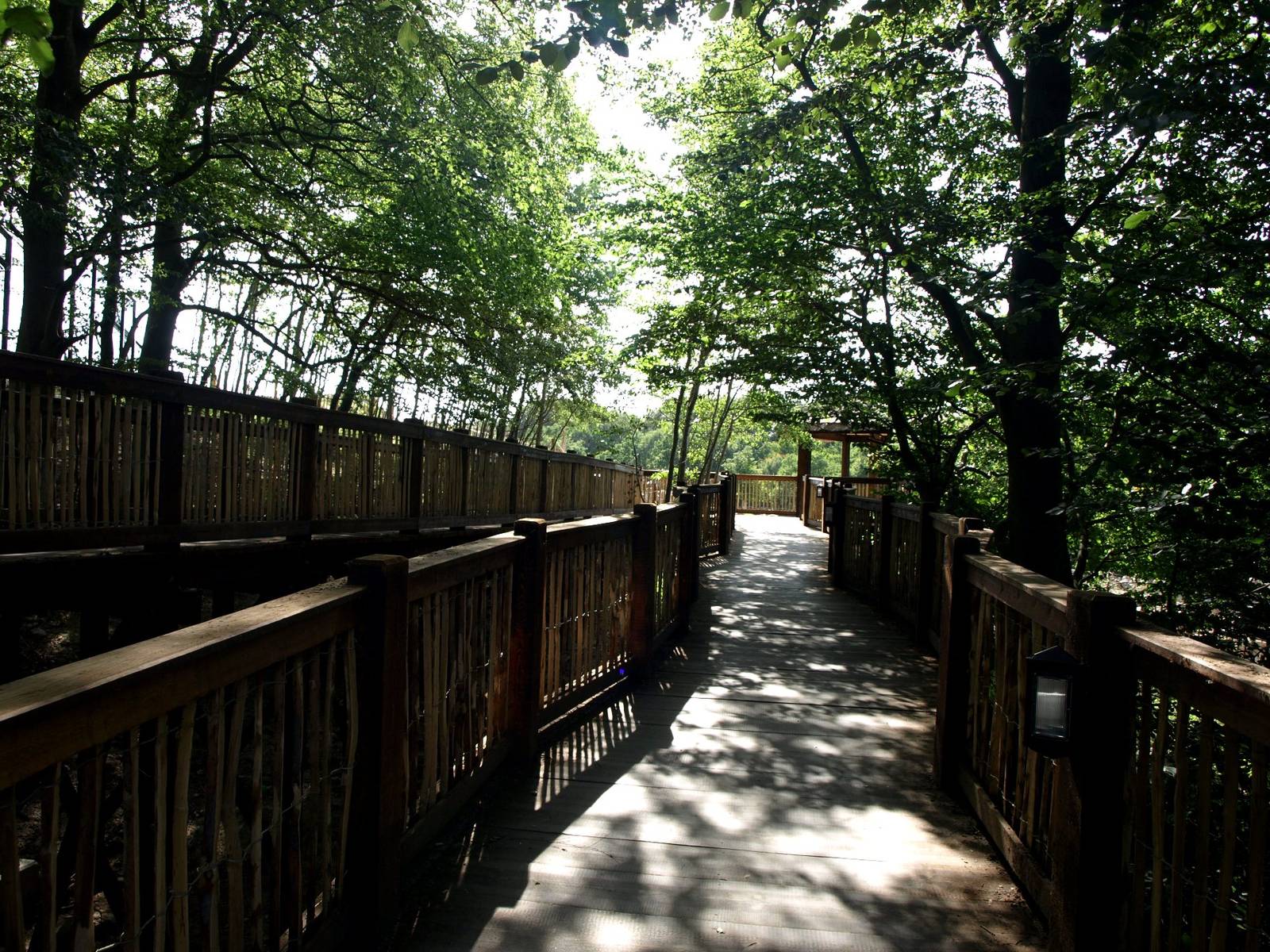 Ree Park - Katanga Hill Walkway