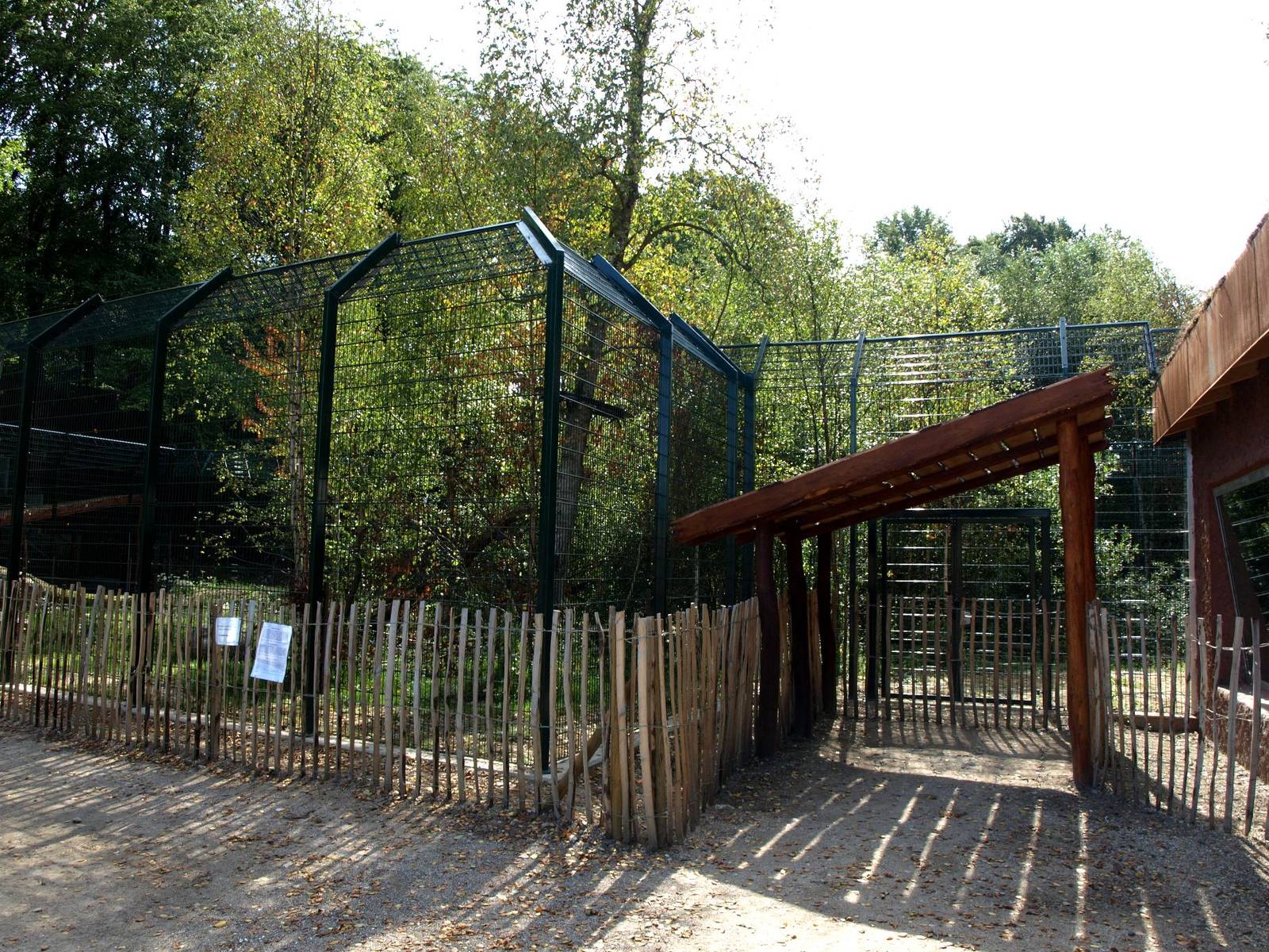 Ree Park - Katanga Hill