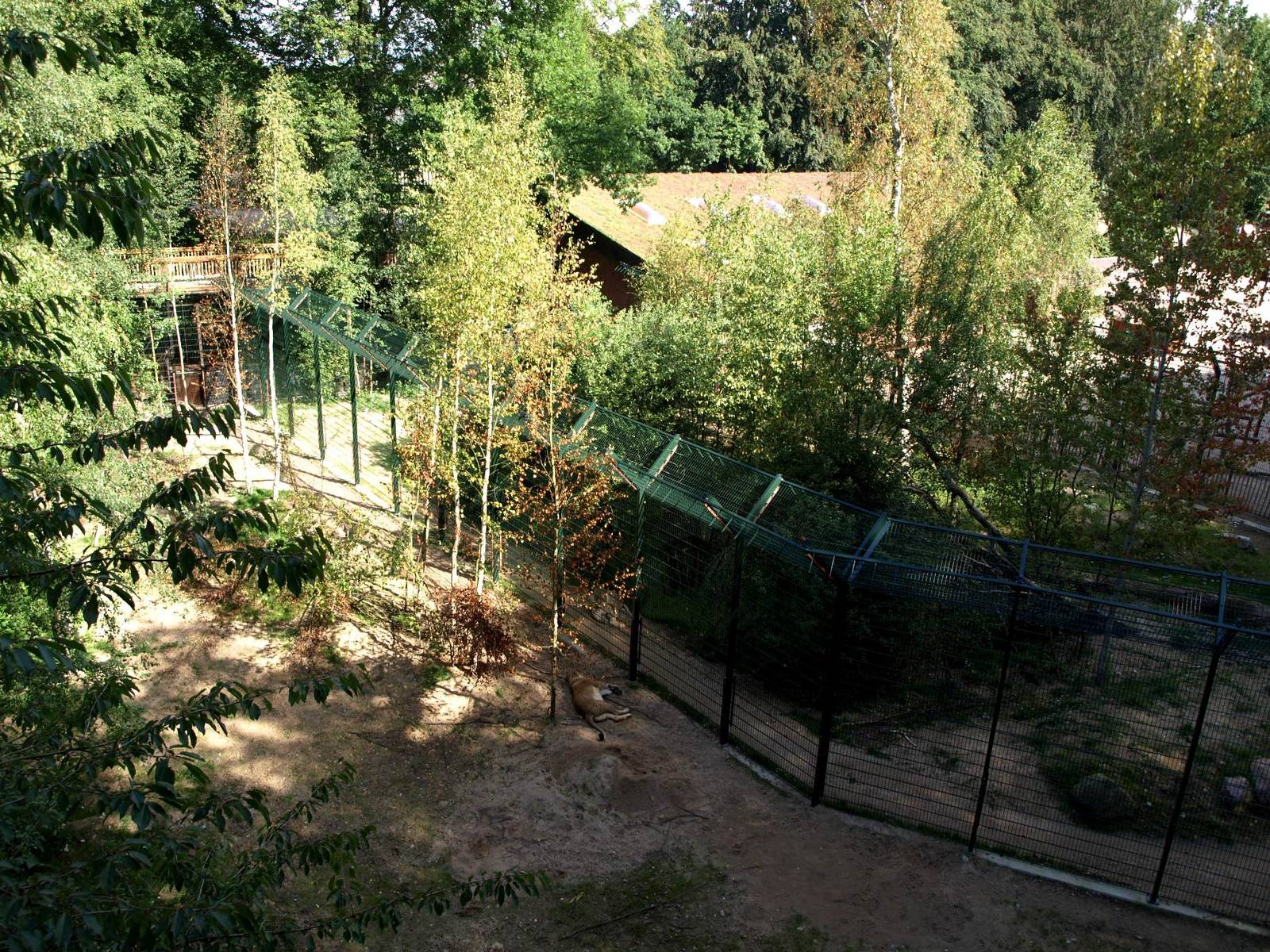 Ree Park - Katanga Hill