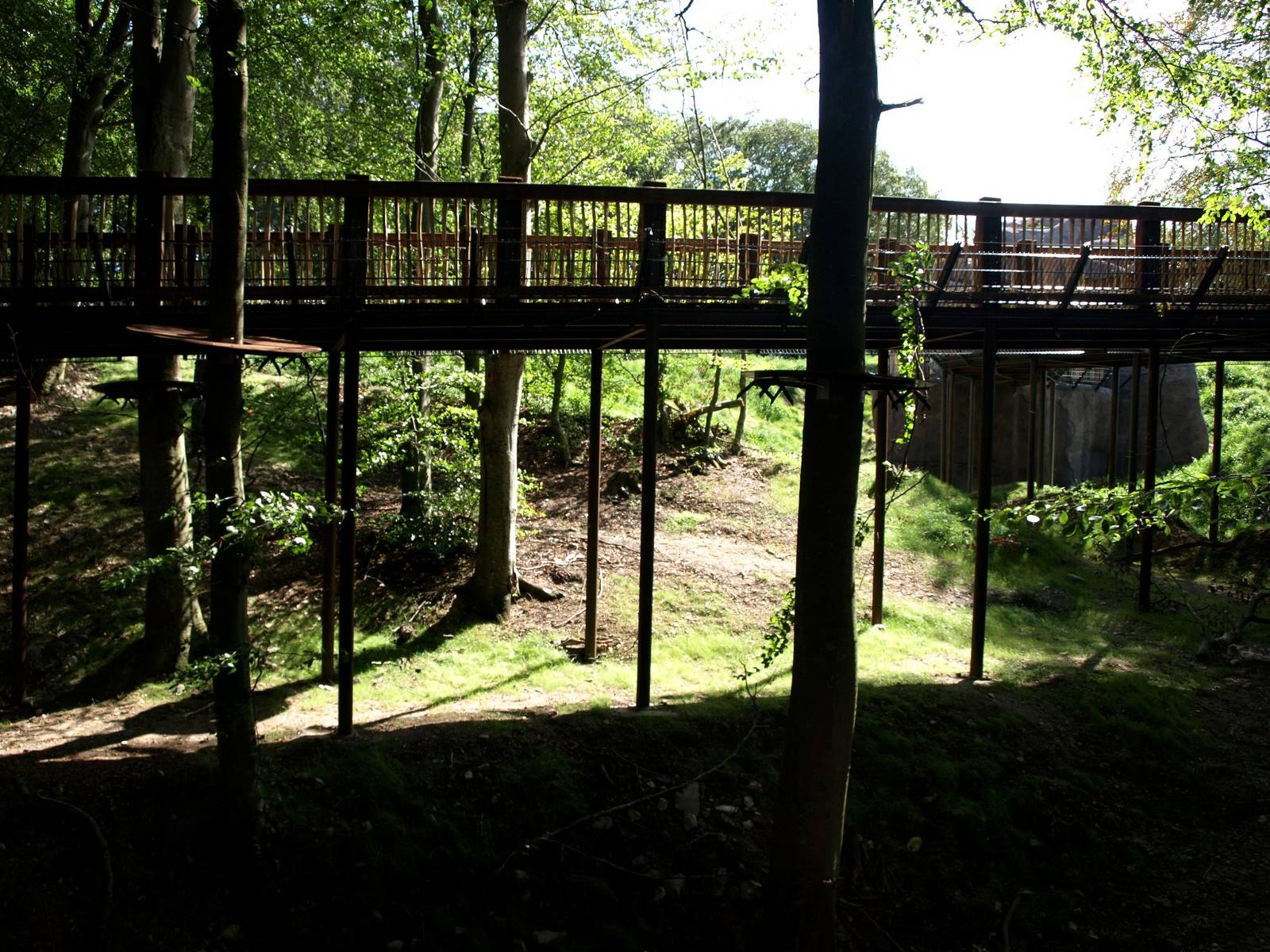 Ree Park - Katanga Hill