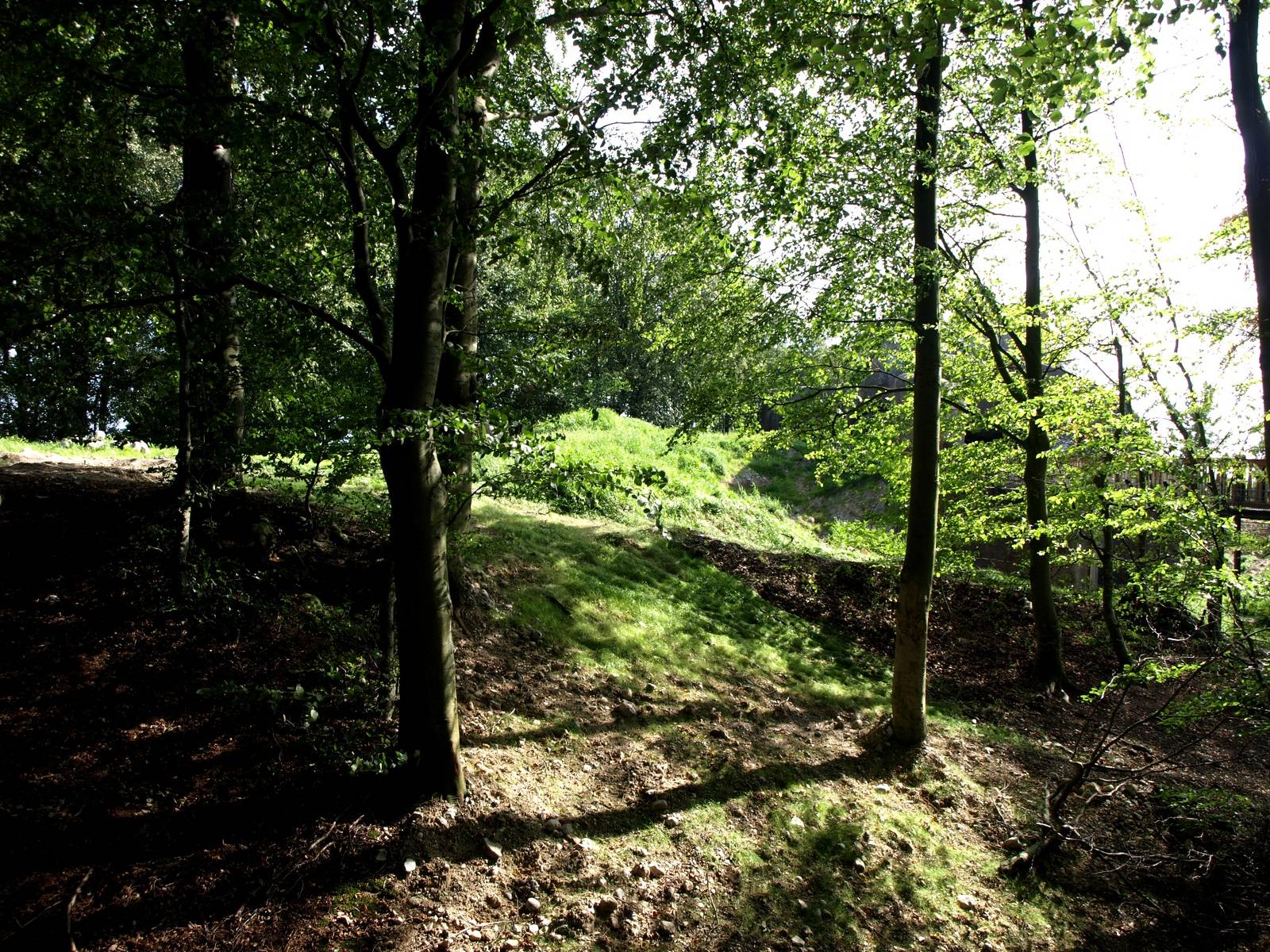 Ree Park - Katanga Hill