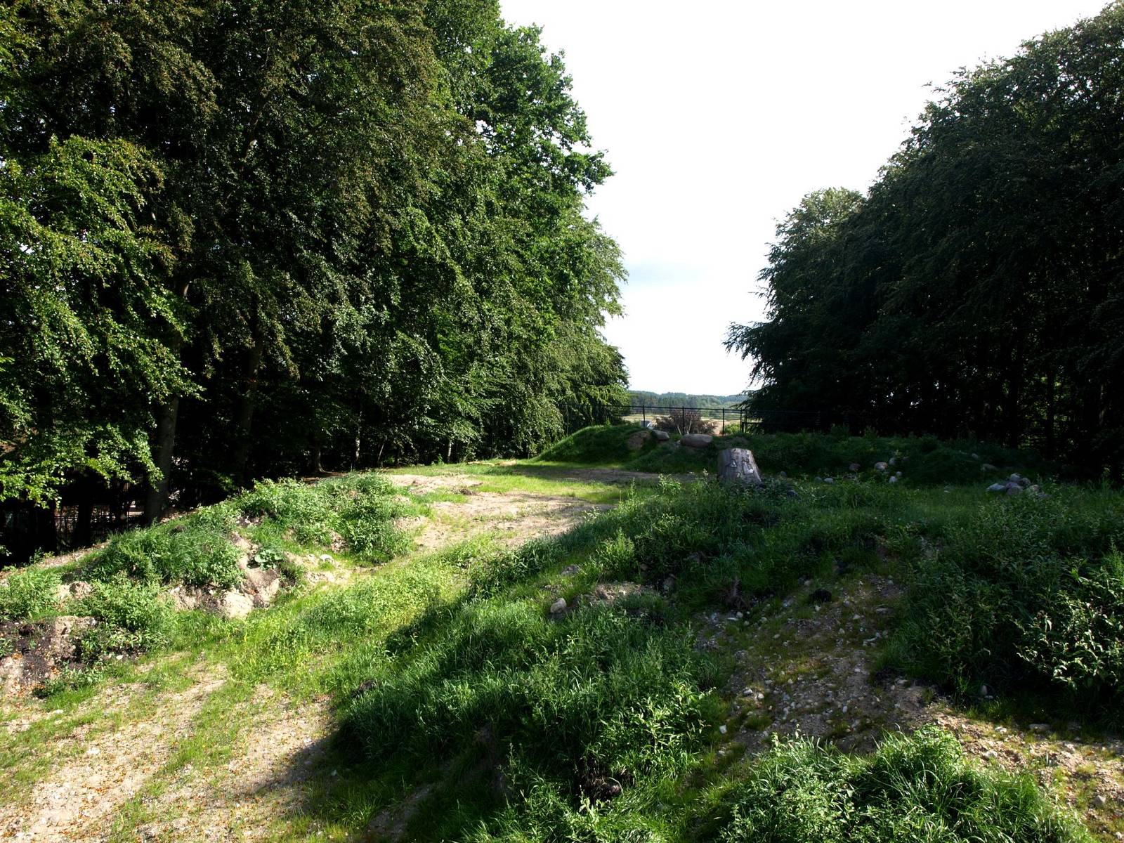 Ree Park - Katanga Hill