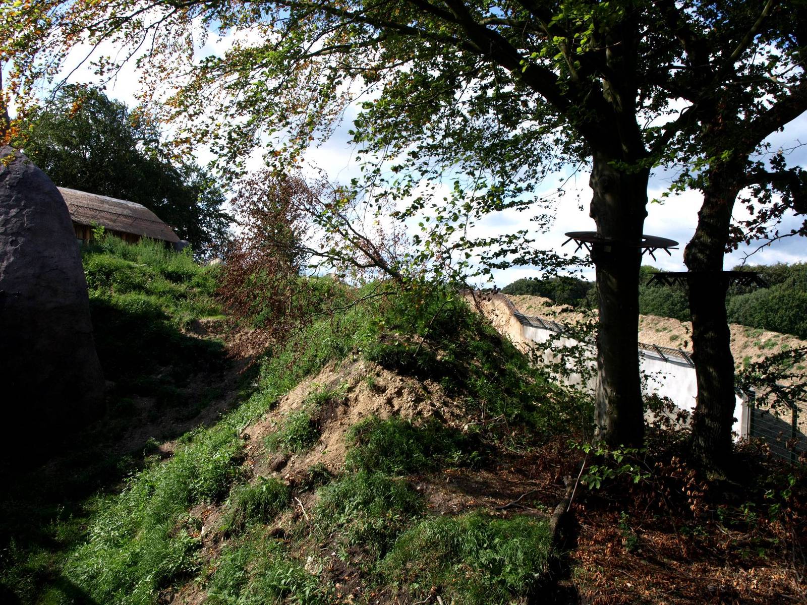 Ree Park - Katanga Hill