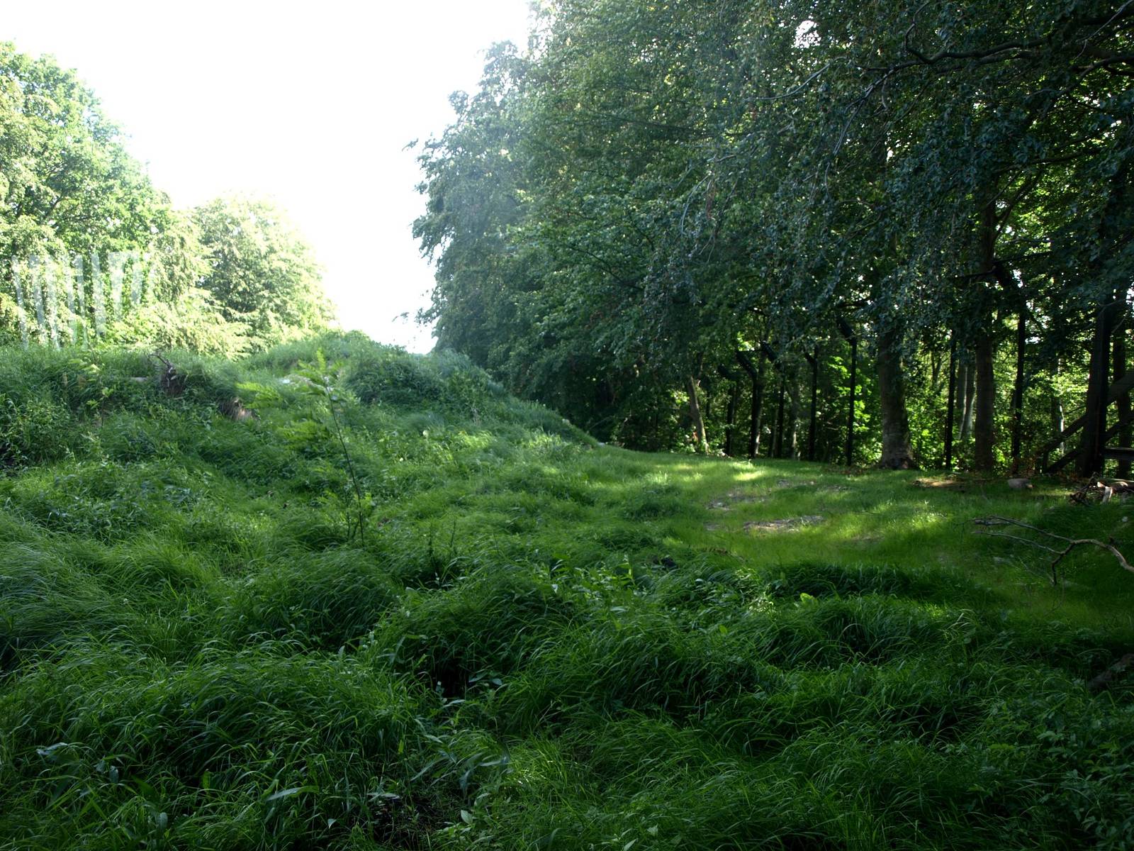 Ree Park - Katanga Hill