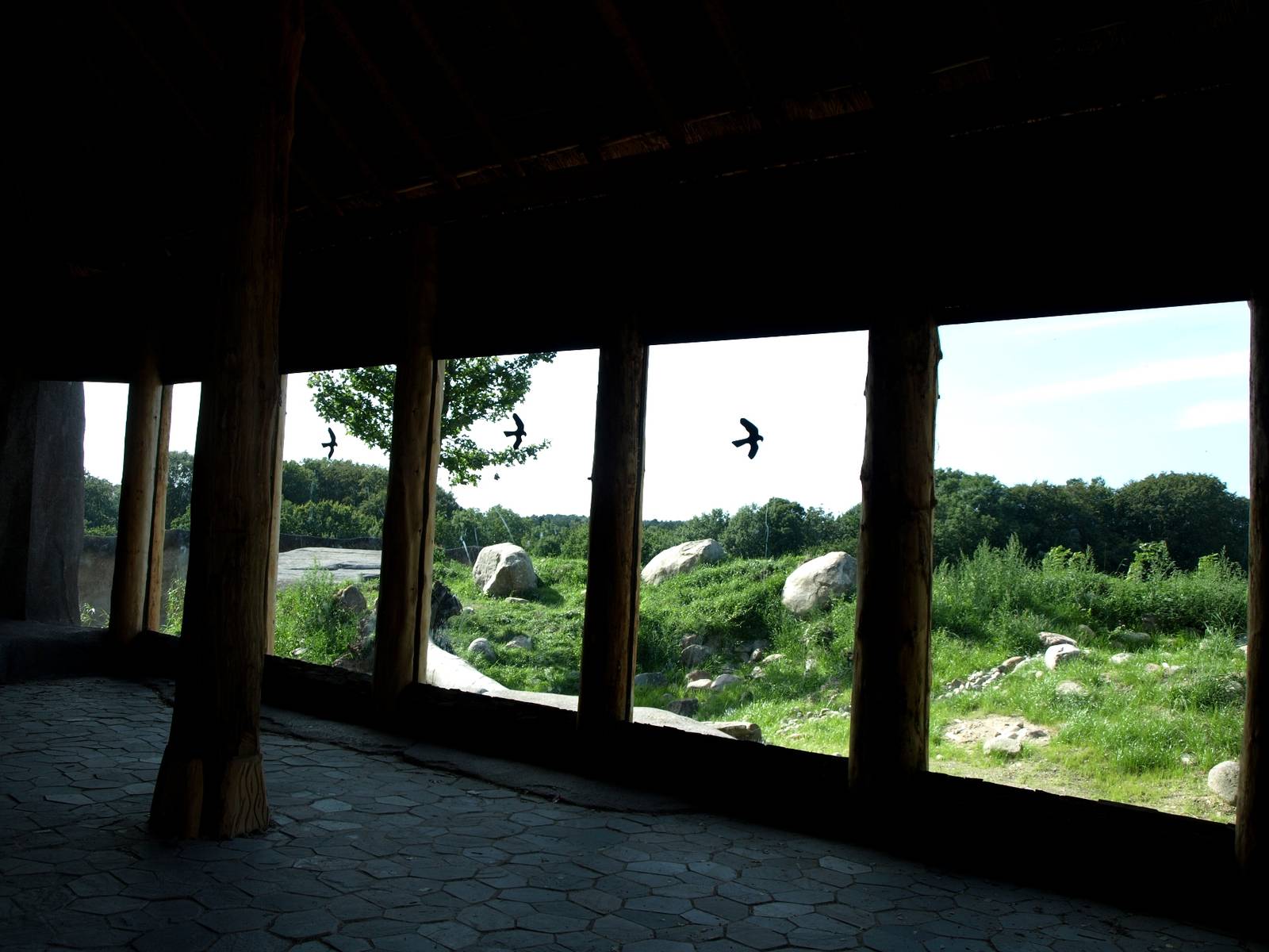 Ree Park - Katanga Hill