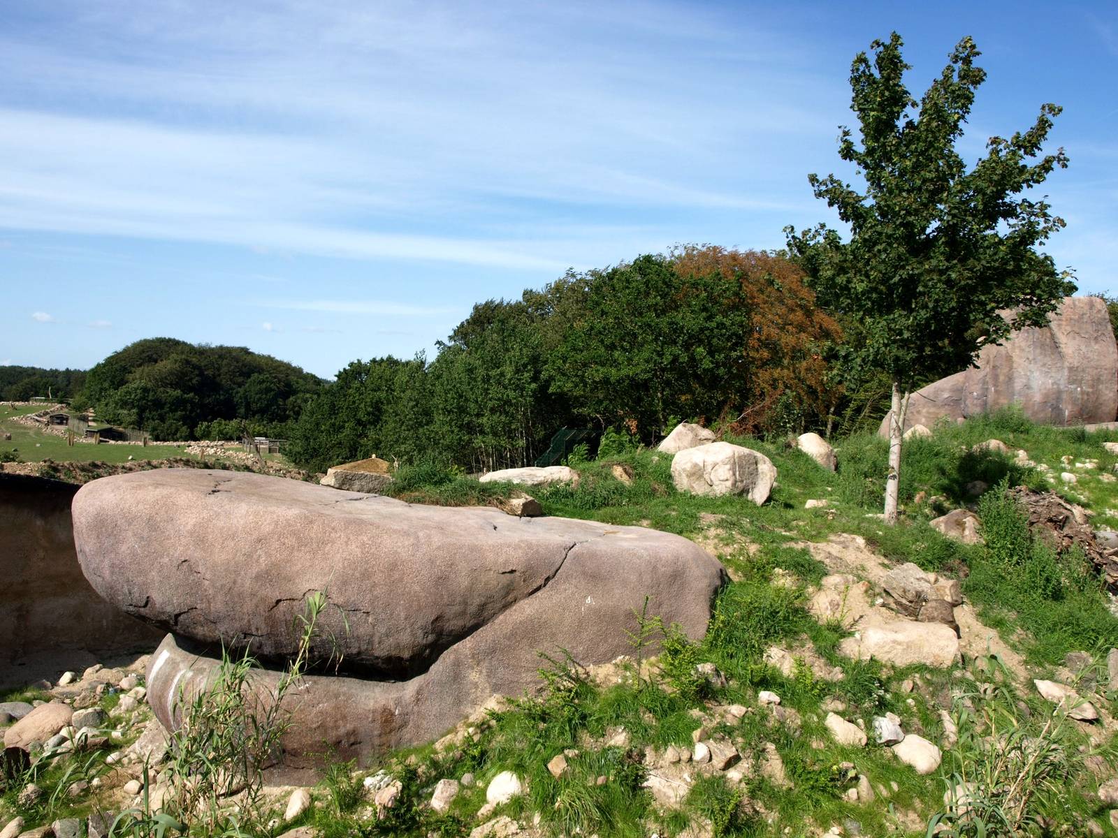 Ree Park - Katanga Hill