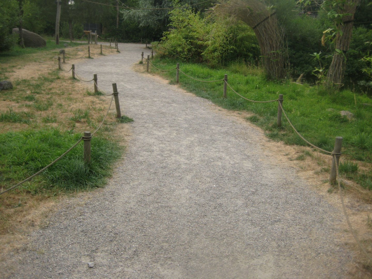 Ree Park - Lemur island #1