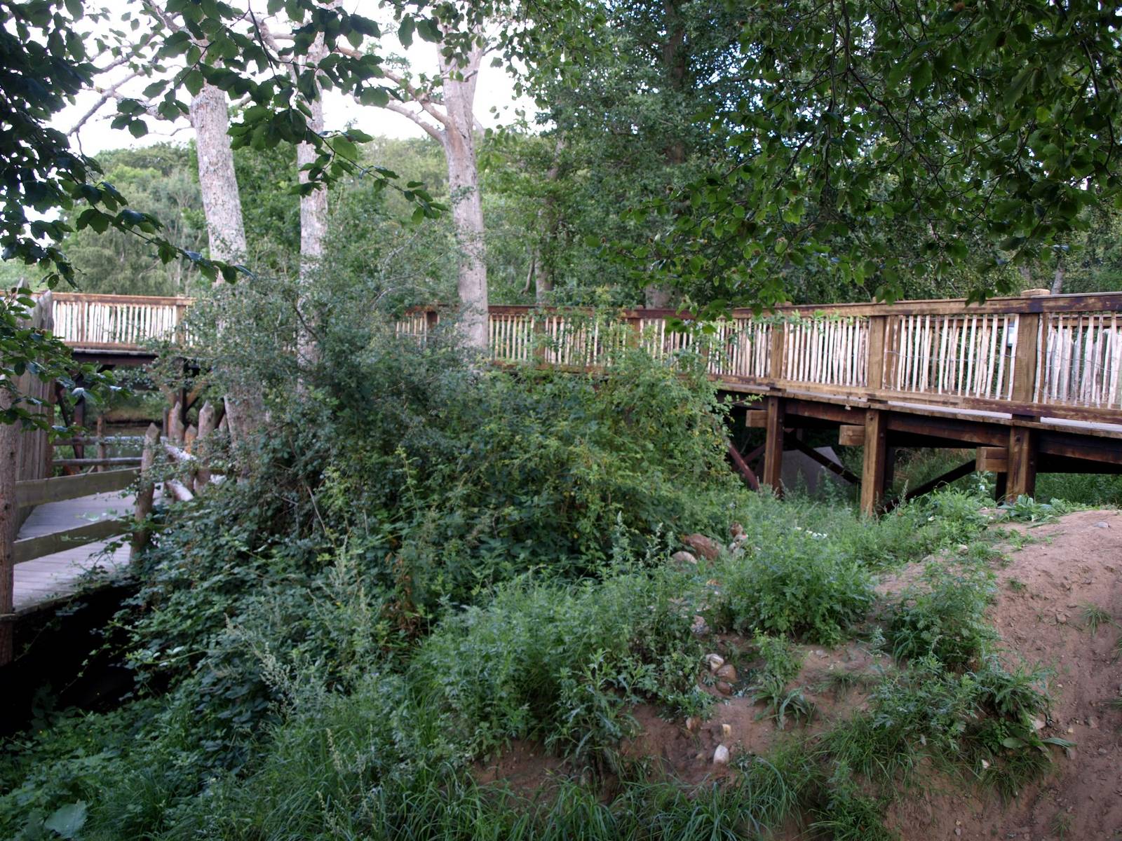 Ree Park - North America