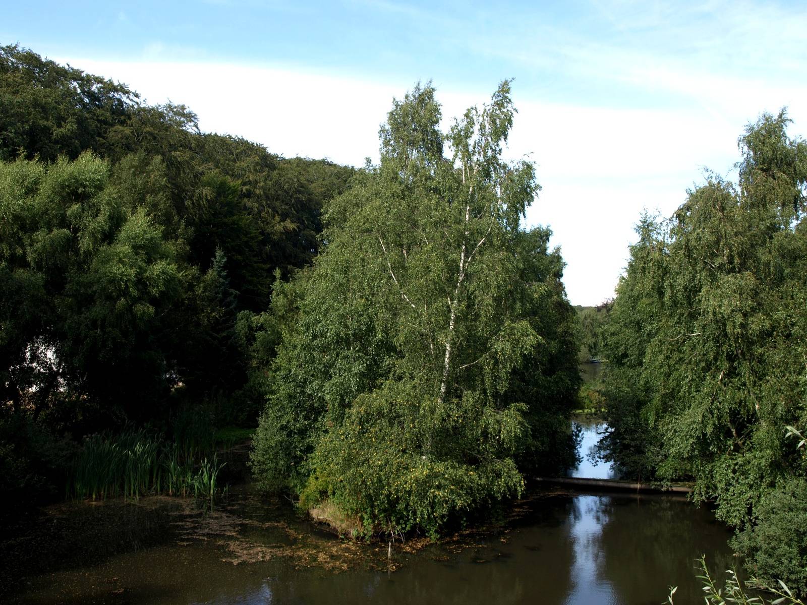 Ree Park - Raccoon island