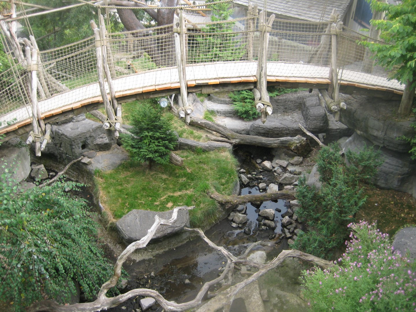 Ree Park - Red panda exhibit