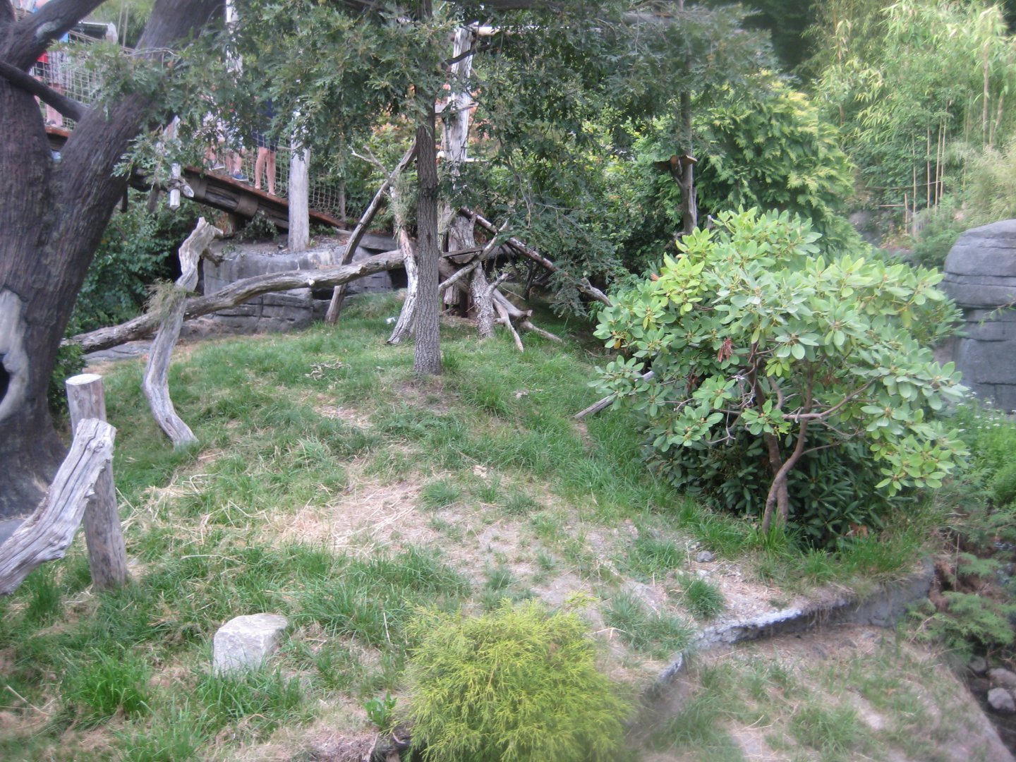 Ree Park - Red panda exhibit