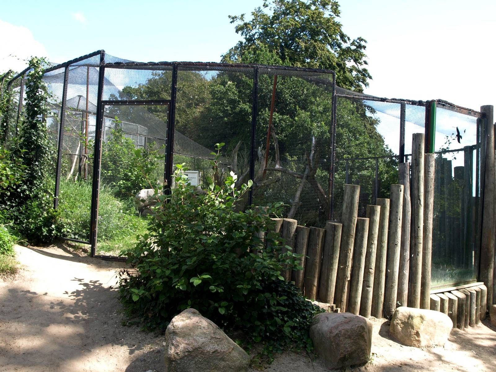 Ree Park - Sand cat exhibit