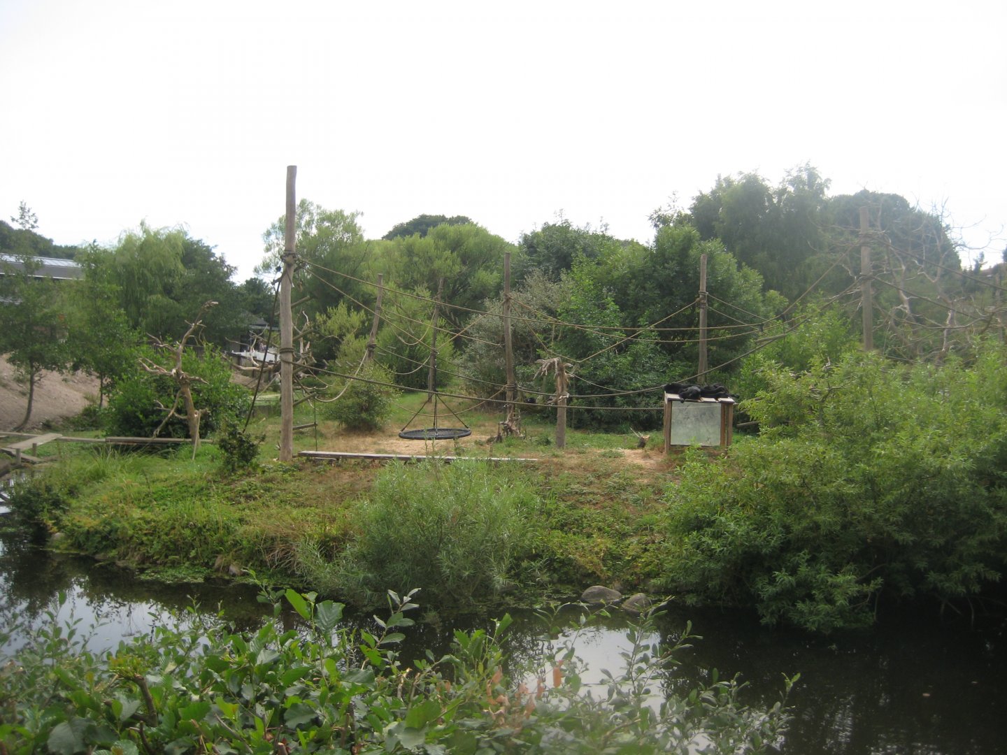 Ree Park - Spider monkey island