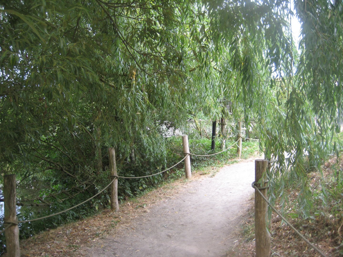 Ree Park - Squirrel monkey island