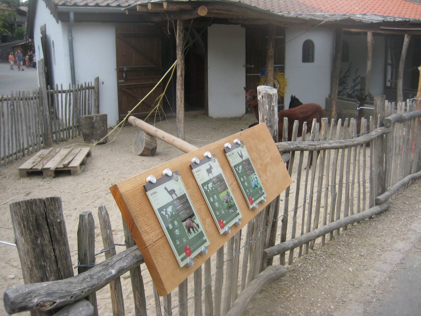Ree Park - The farm - Alpaca exhibit